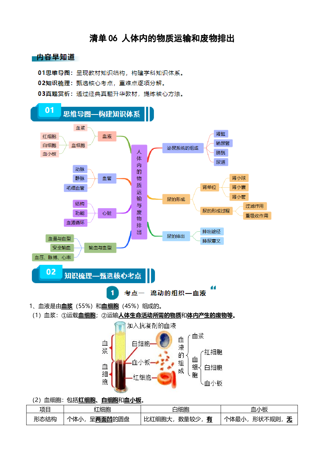 清单06 人体内的物质运输与废物排出（6大考点+6大高频命题点）-2024年中考生物一轮复习知识清单.docx 第1页