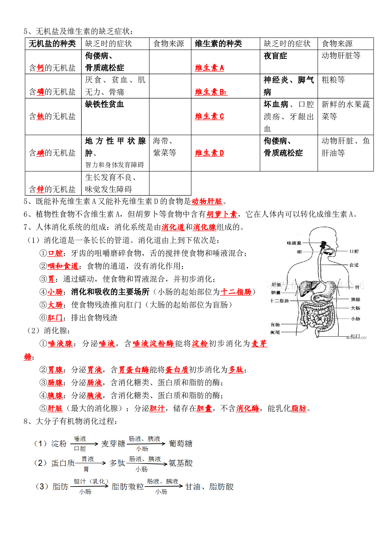 知识点填空-2022-2023学年人教版生物七年级下册.docx 第2页