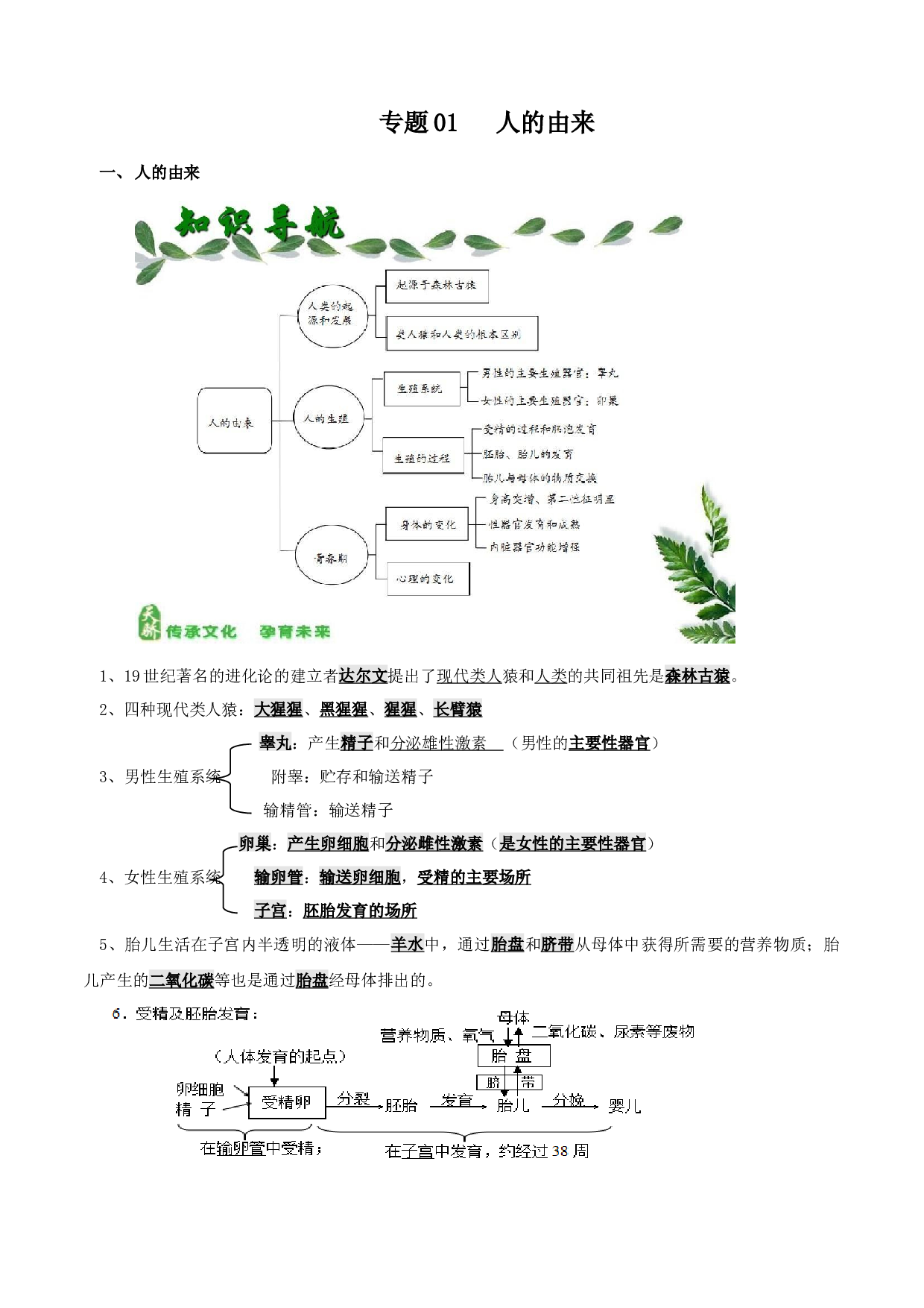 专题01 人的由来（知识梳理）-2020-2021学年期七年级下册生物期末考点大串讲（人教版).doc 第1页