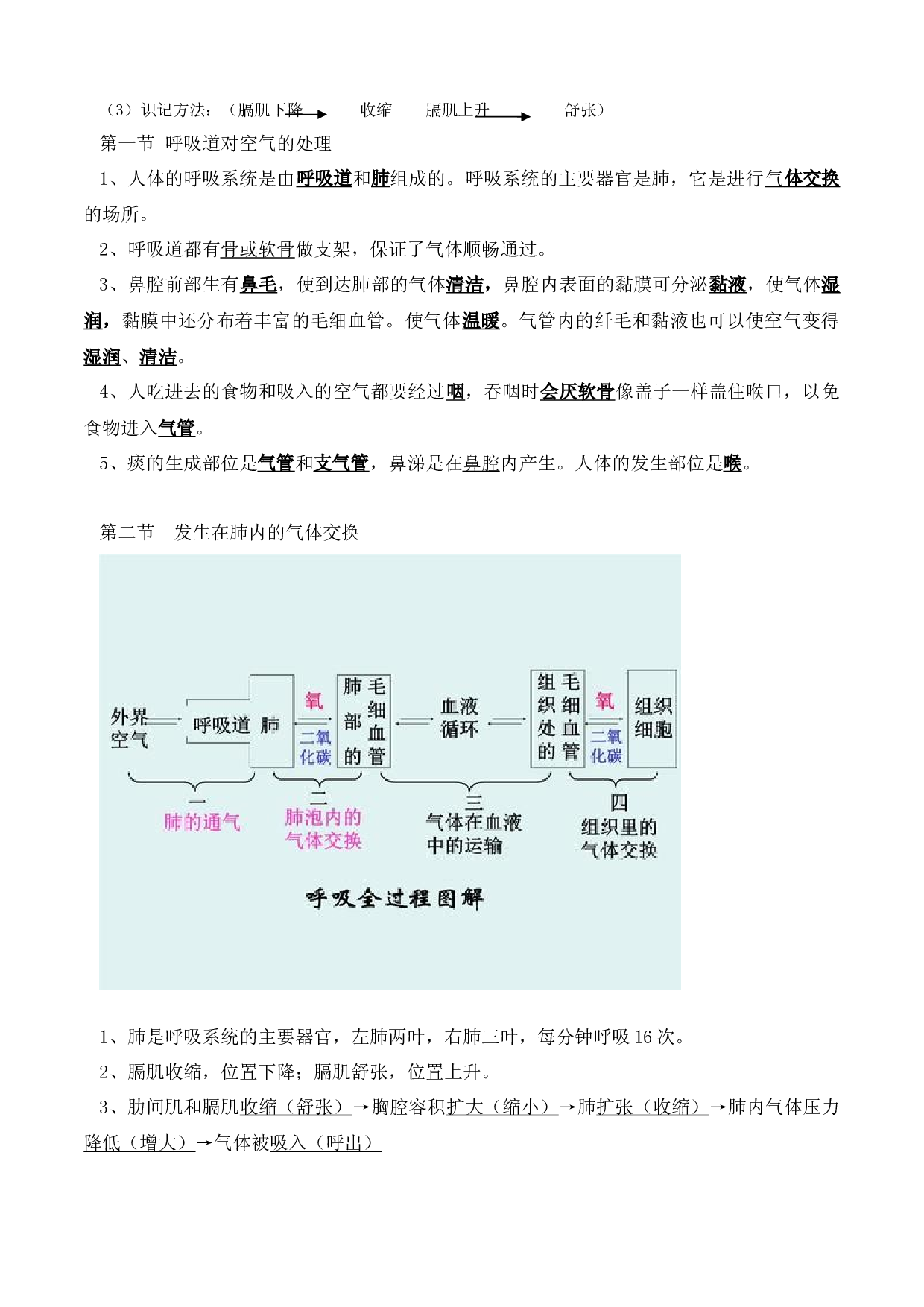 专题03 人体的呼吸（知识梳理）-2020-2021学年期七年级下册生物期末考点大串讲（人教版).doc 第2页