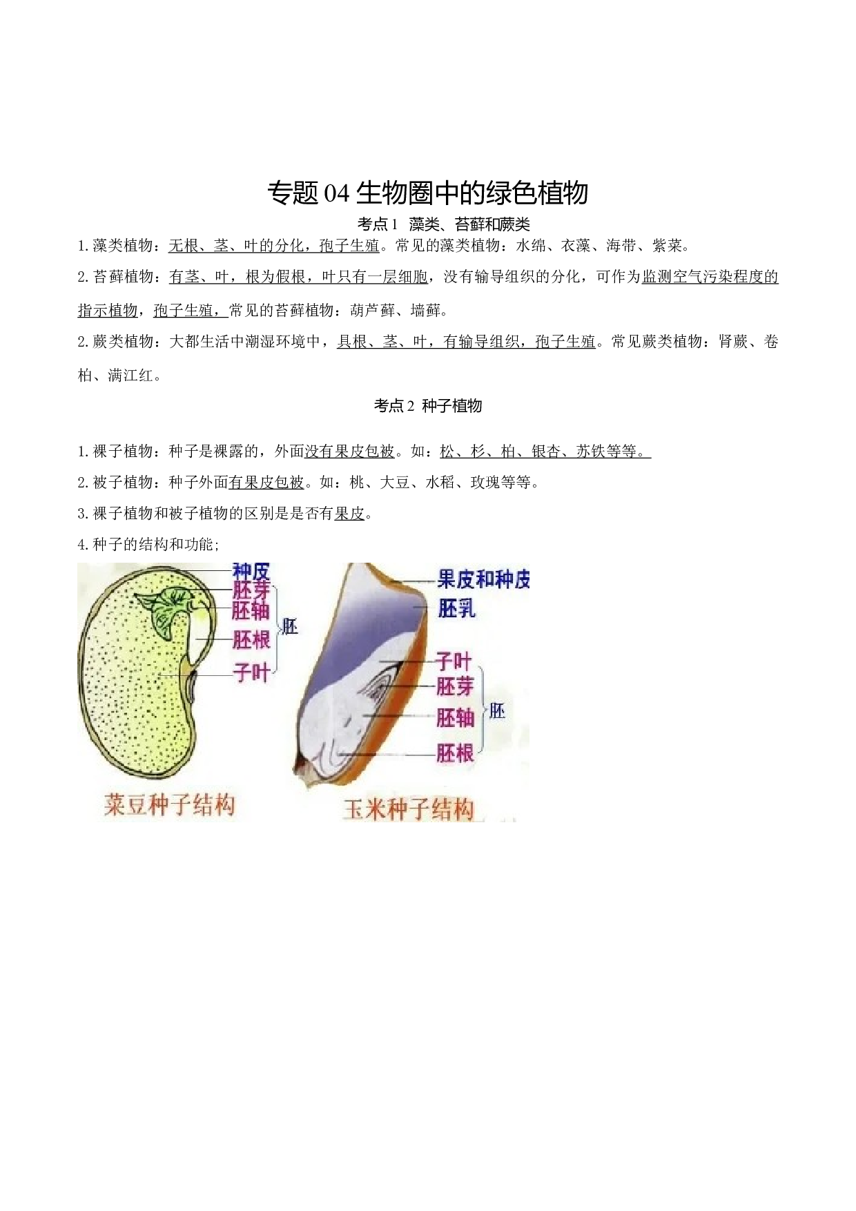 专题04 生物圈中的绿色植物（知识帮）-备战2023年中考生物一轮复习考点帮（全国通用）.docx 第1页