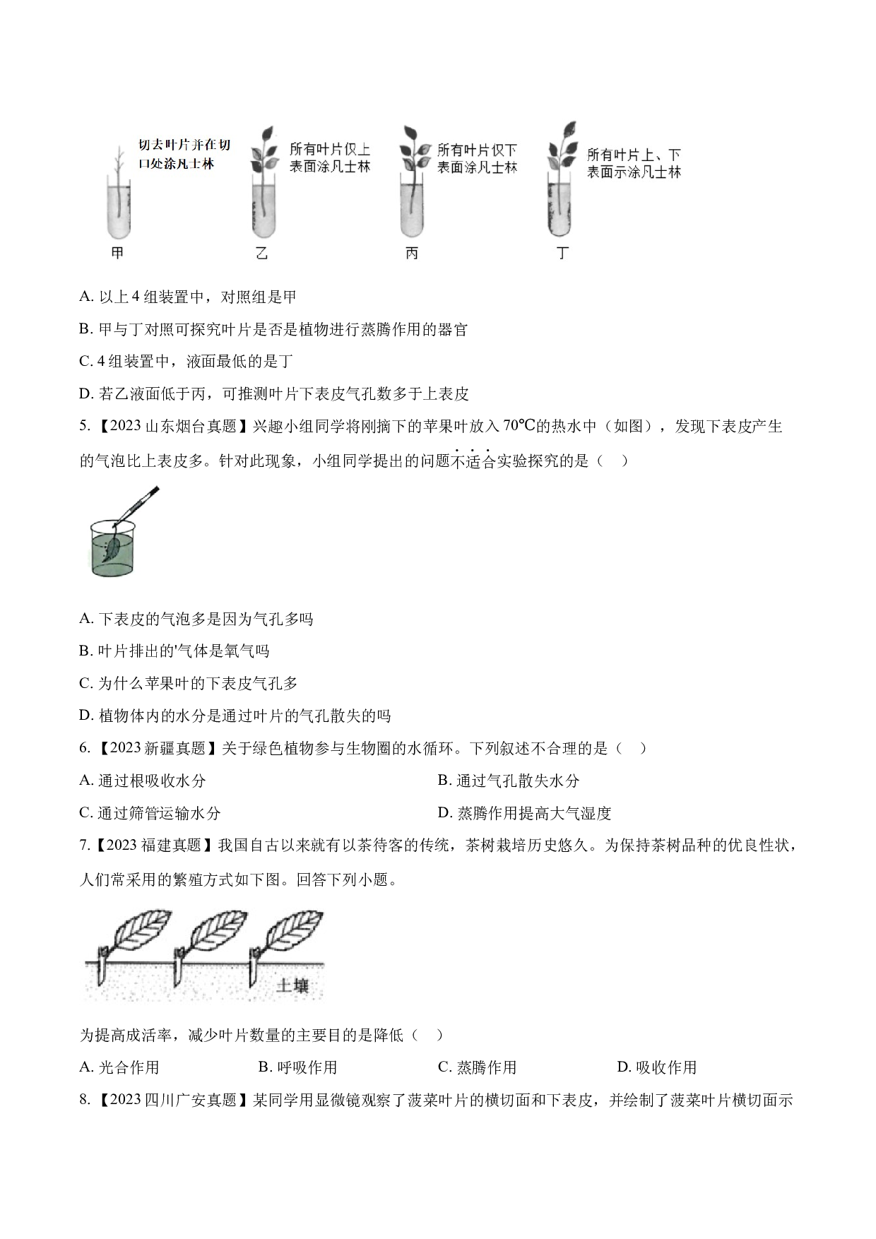 专题05  绿色植物的蒸腾作用、光合作用和呼吸作用-2023年中考生物真题分项汇编（全国通用） （第1期）（原卷版）.docx 第2页
