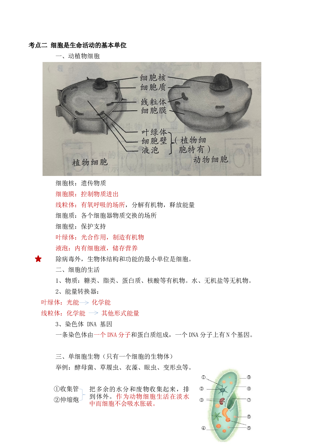 专题一 生物体的结构层次-【赢战中考&middot;核心背记】备战2023年中考生物重点内容核心背记.docx 第2页