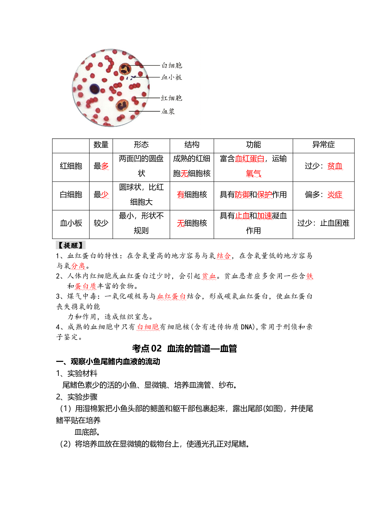 专题12 人体内物质的运输（背记帮）-备战2024年中考生物一轮复习考点帮.docx 第2页