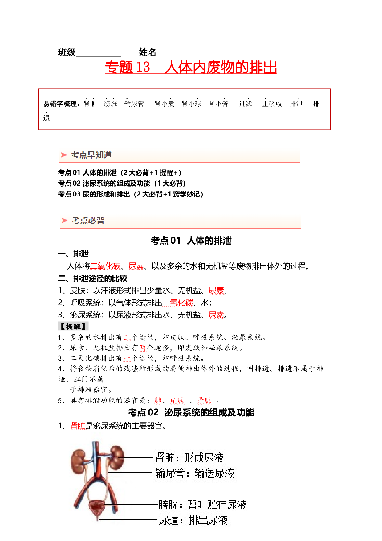 专题13 人体内废物的排出（背记帮）-备战2024年中考生物一轮复习考点帮.docx 第1页