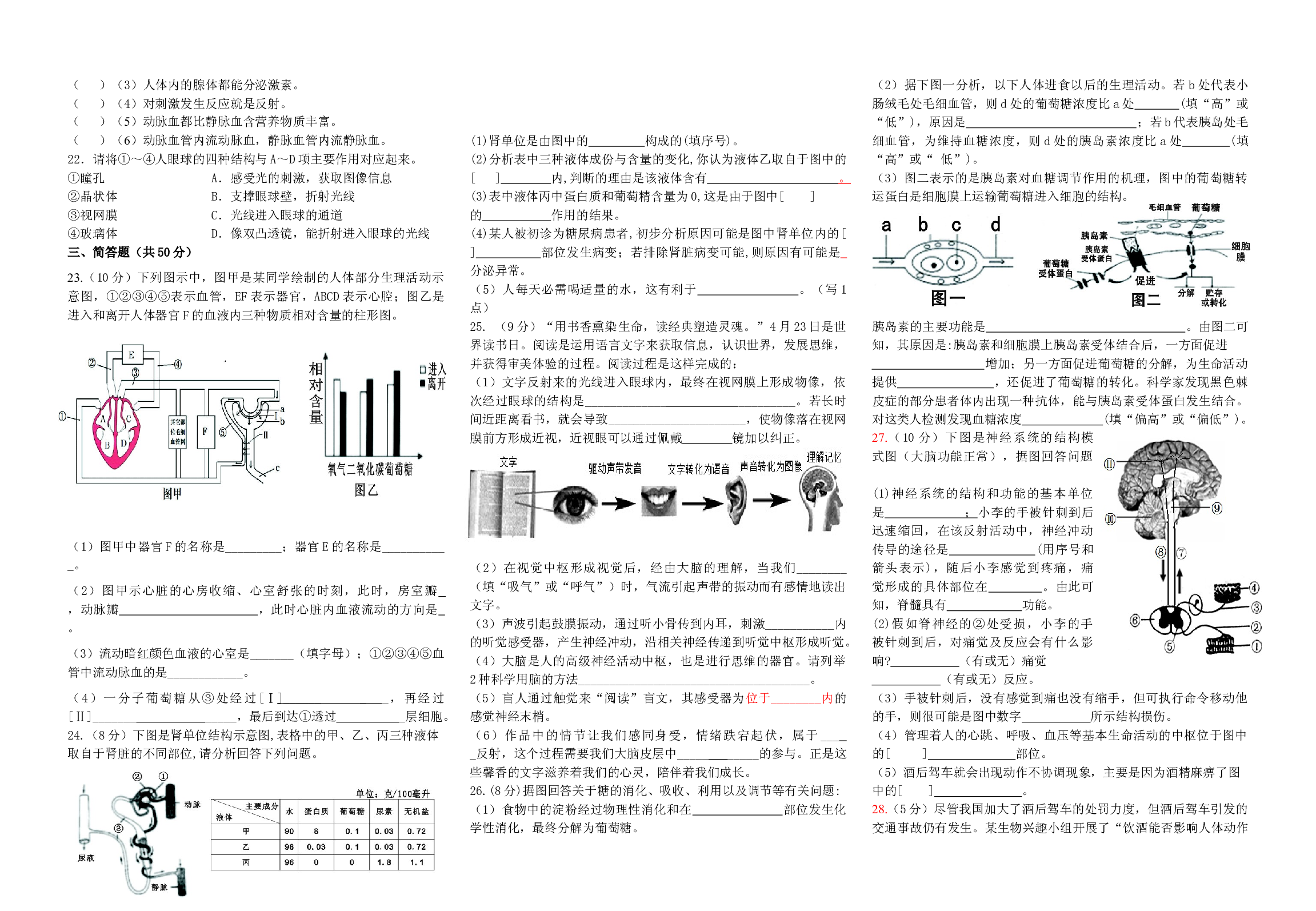 2023年湖南省中考生物复习试卷（四）.docx 第2页