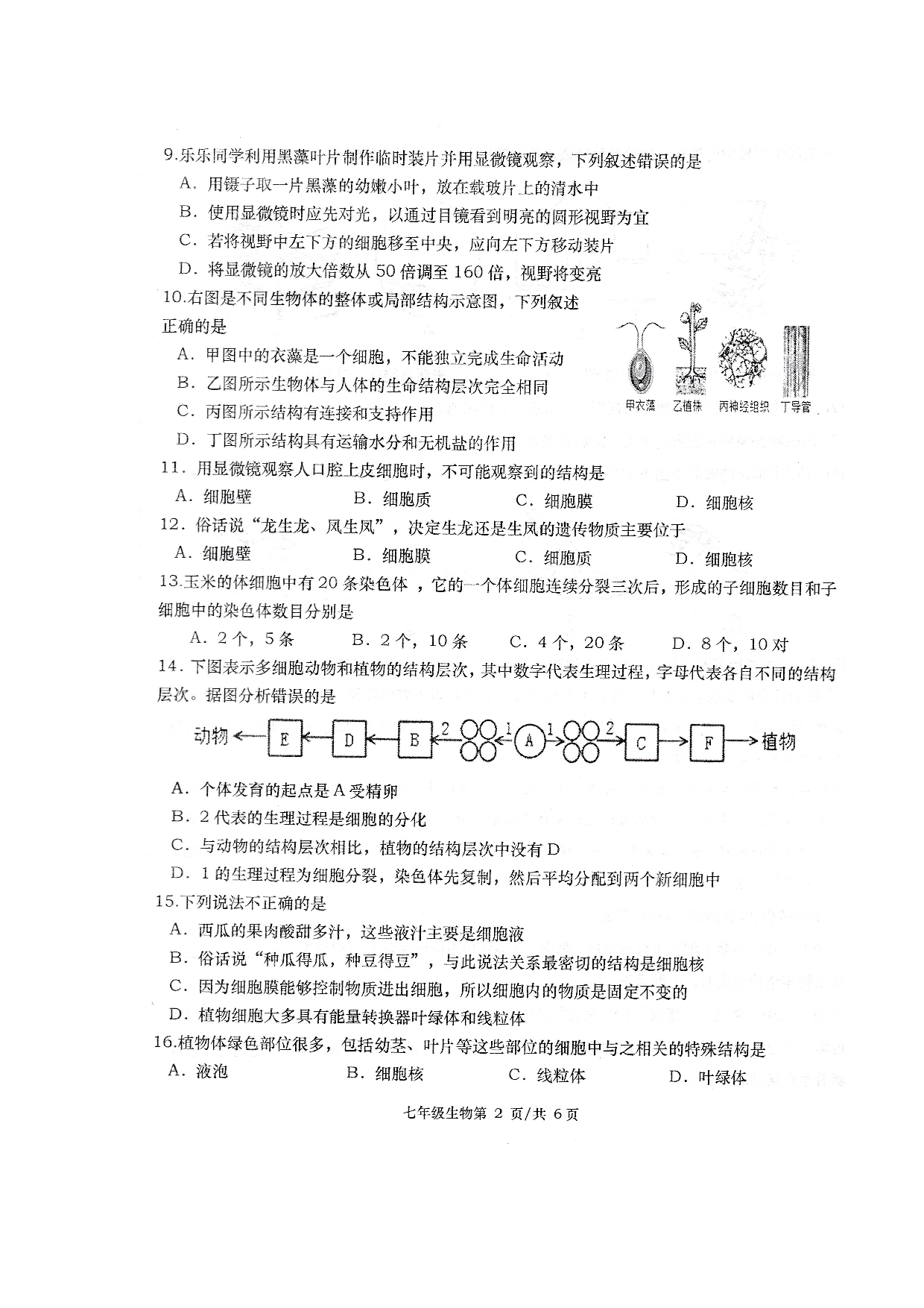 湖南省常德市澧县2022-2023学年七年级上学期期中生物试题.docx 第2页