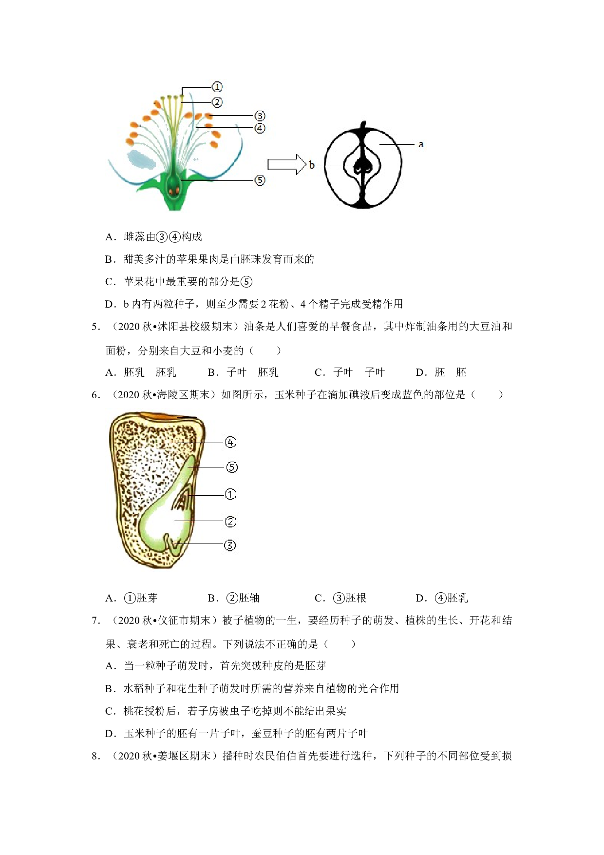 2021年江苏省中考生物复习专练&mdash;&mdash;专题6植物的一生.docx 第2页