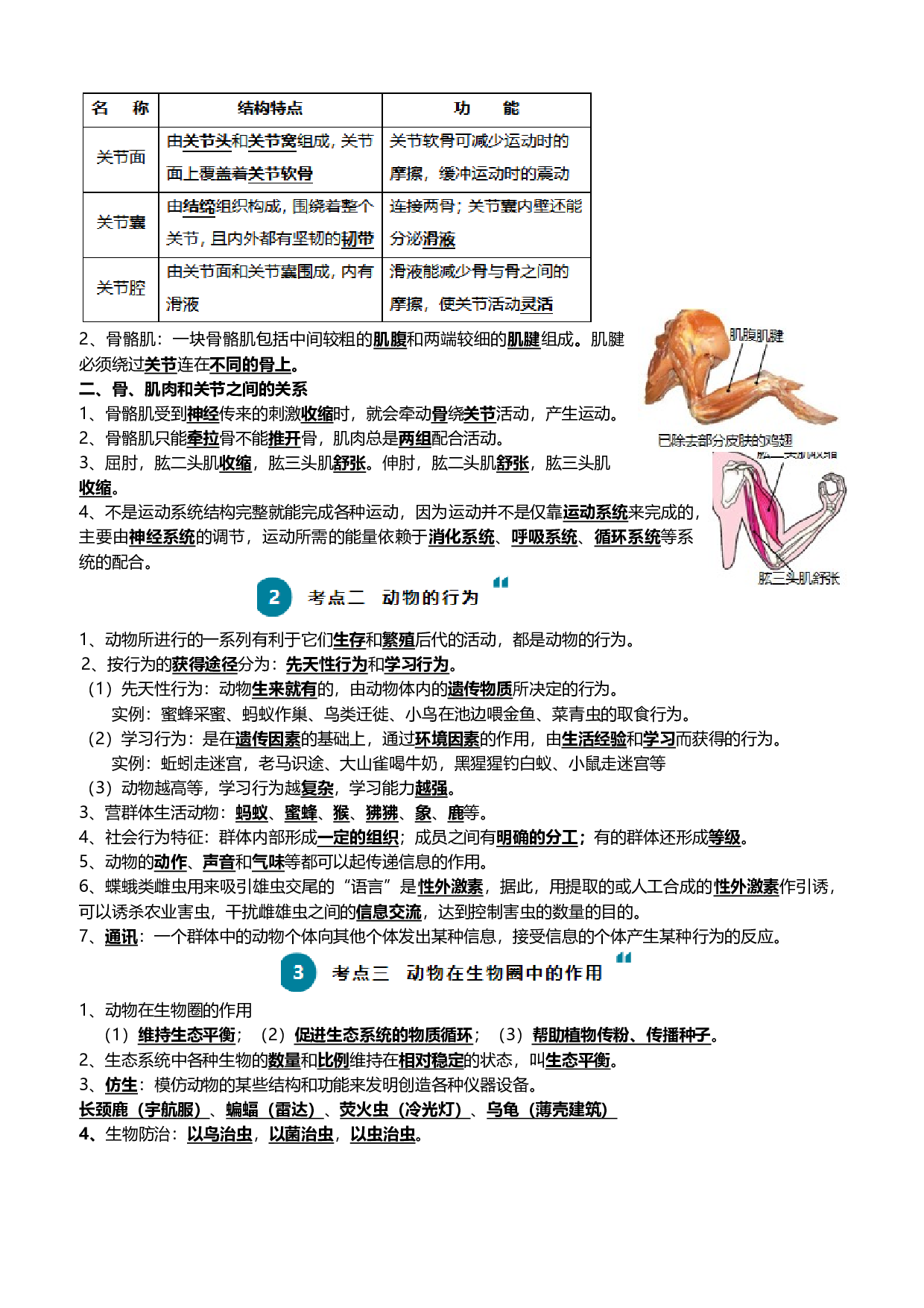 清单09 动物的运动和行为+动物在生物圈中的作用（3大考点+4大高频命题点）-2024年中考生物一轮复习知识清单.docx 第2页