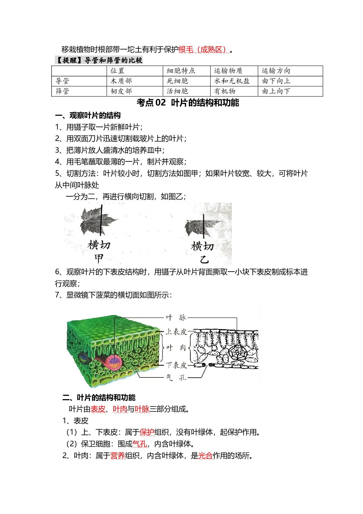 专题06 绿色植物与生物圈的水循环（背记帮）-备战2024年中考生物一轮复习考点帮（全国通用）.docx 第2页