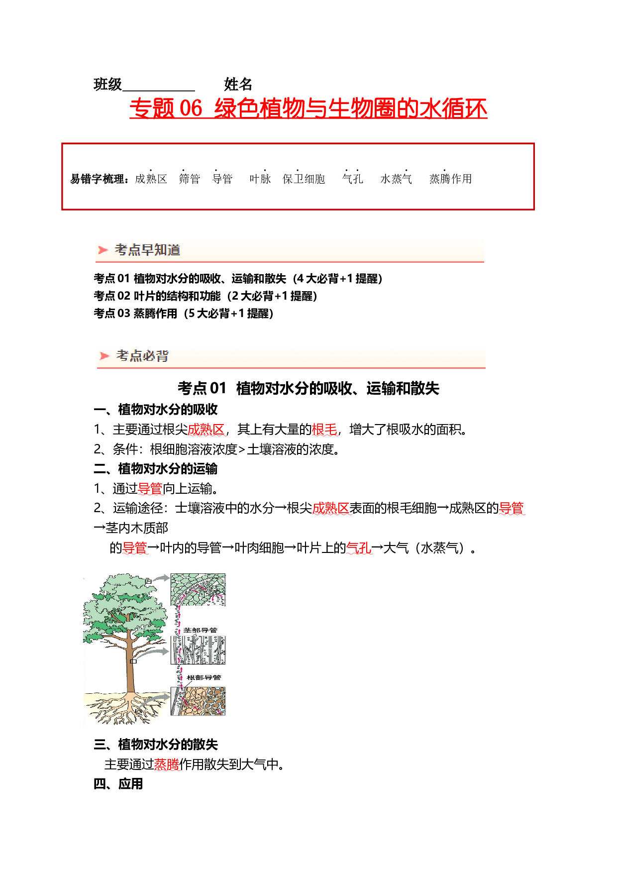 专题06 绿色植物与生物圈的水循环（背记帮）-备战2024年中考生物一轮复习考点帮（全国通用）.docx 第1页