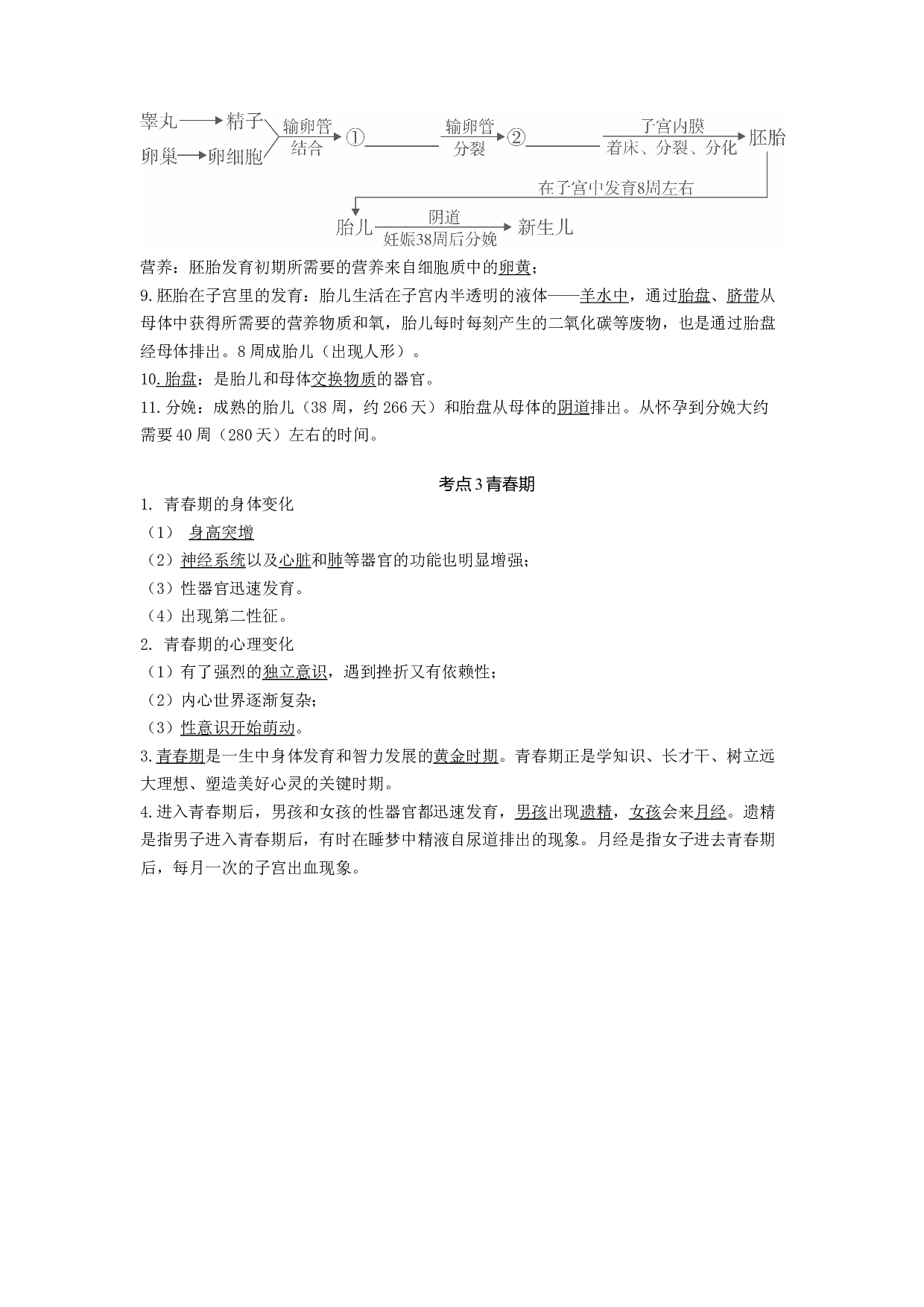 专题06 人的由来（知识帮）-备战2023年中考生物一轮复习考点帮（全国通用）.docx 第2页