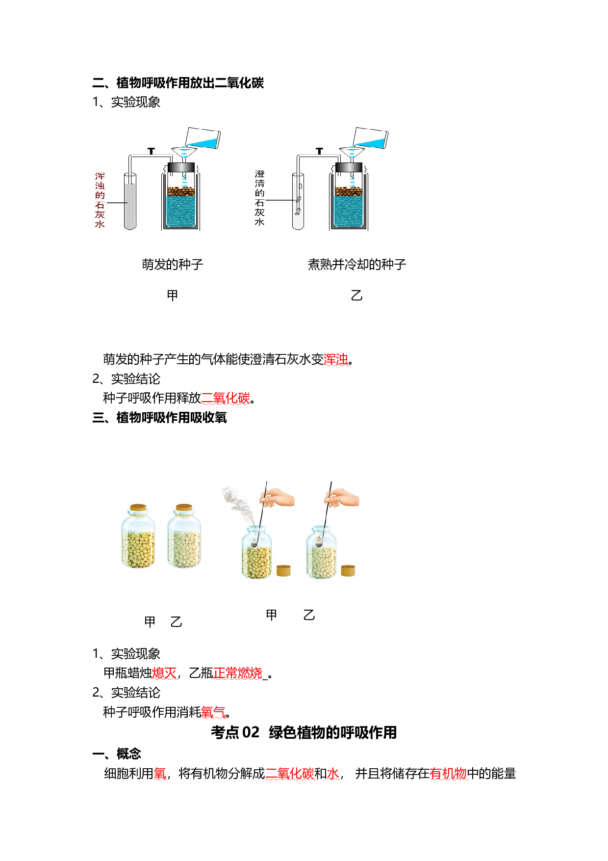 专题08 绿色植物的呼吸作用（背记帮）-备战2024年中考生物一轮复习考点帮.docx 第2页
