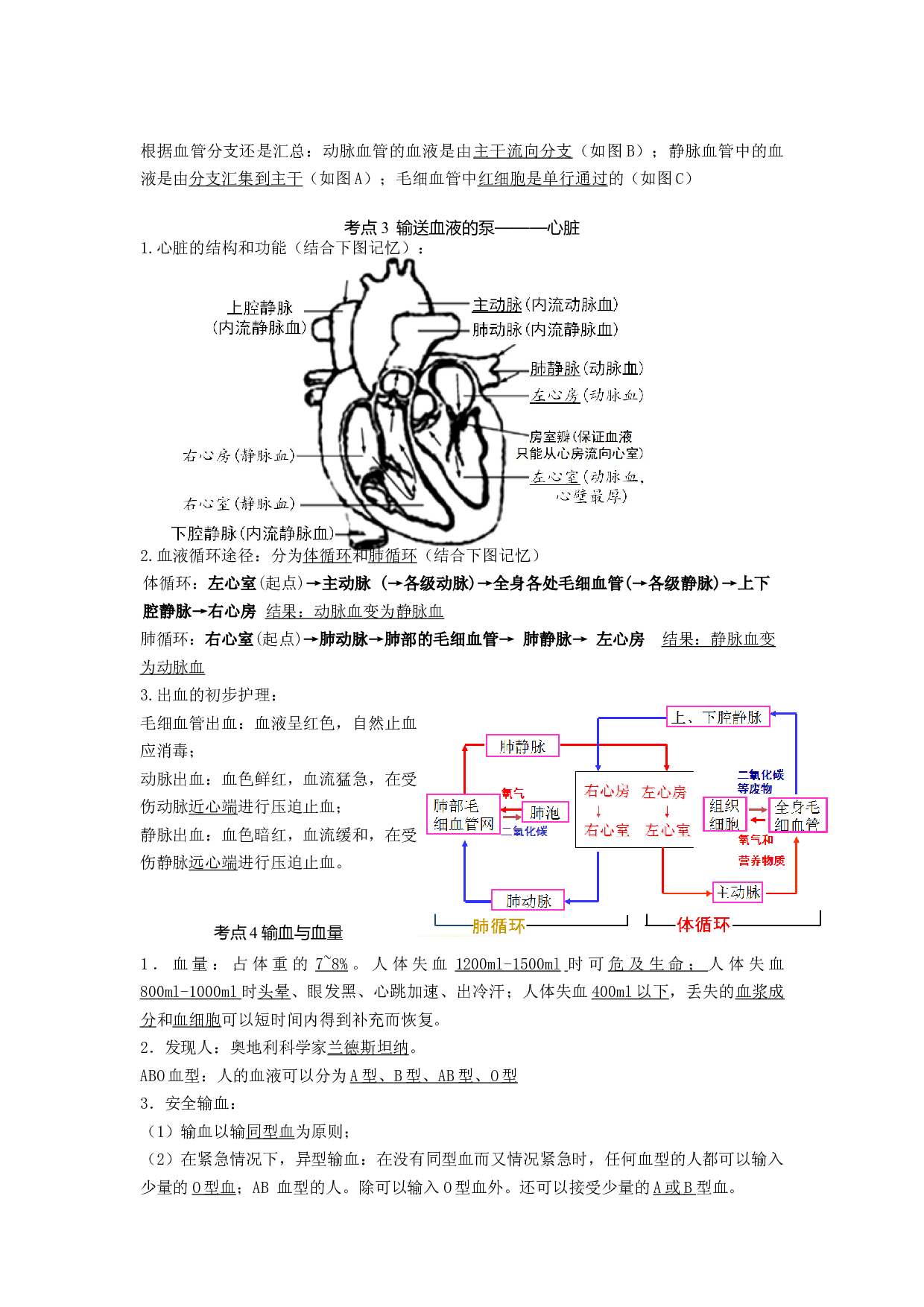 专题10人体内物质的运输和废物的排出（知识帮）-备战2023年中考生物一轮复习考点帮（全国通用）.docx 第2页