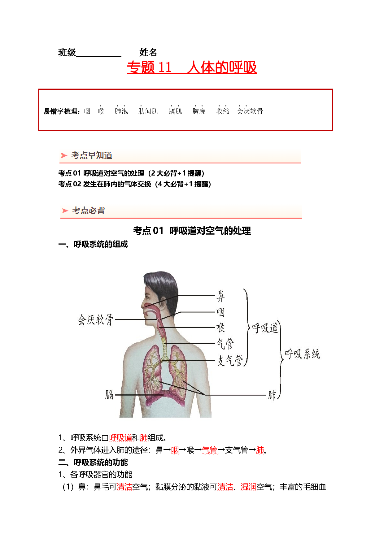 专题11 人体的呼吸（背记帮）-备战2024年中考生物一轮复习考点帮（全国通用）.docx 第1页