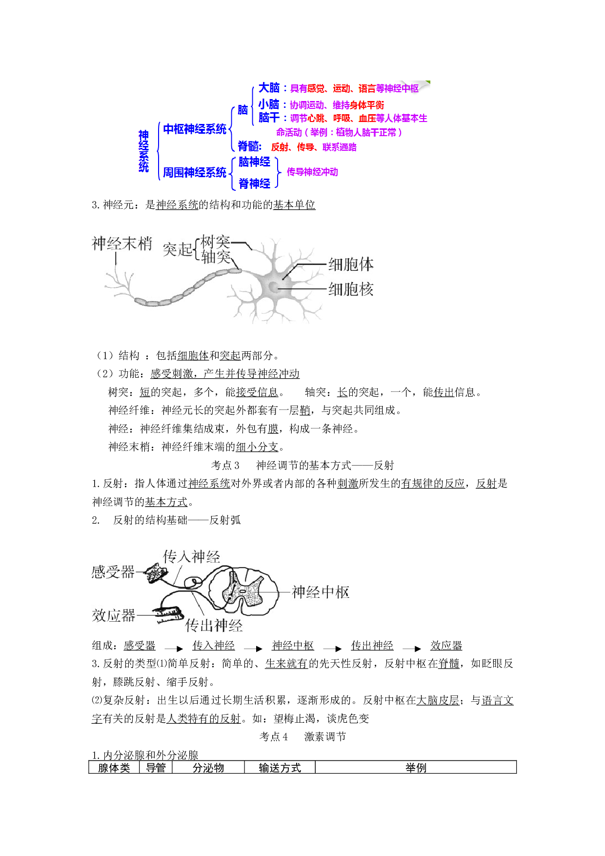 专题11 人体生命活动的调节（知识帮）-备战2023年中考生物一轮复习考点帮（全国通用）.docx 第2页
