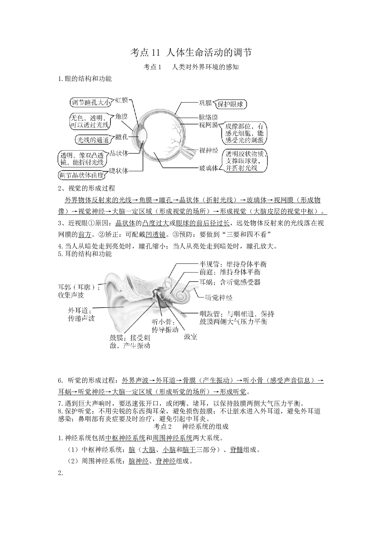 专题11 人体生命活动的调节（知识帮）-备战2023年中考生物一轮复习考点帮（全国通用）.docx 第1页