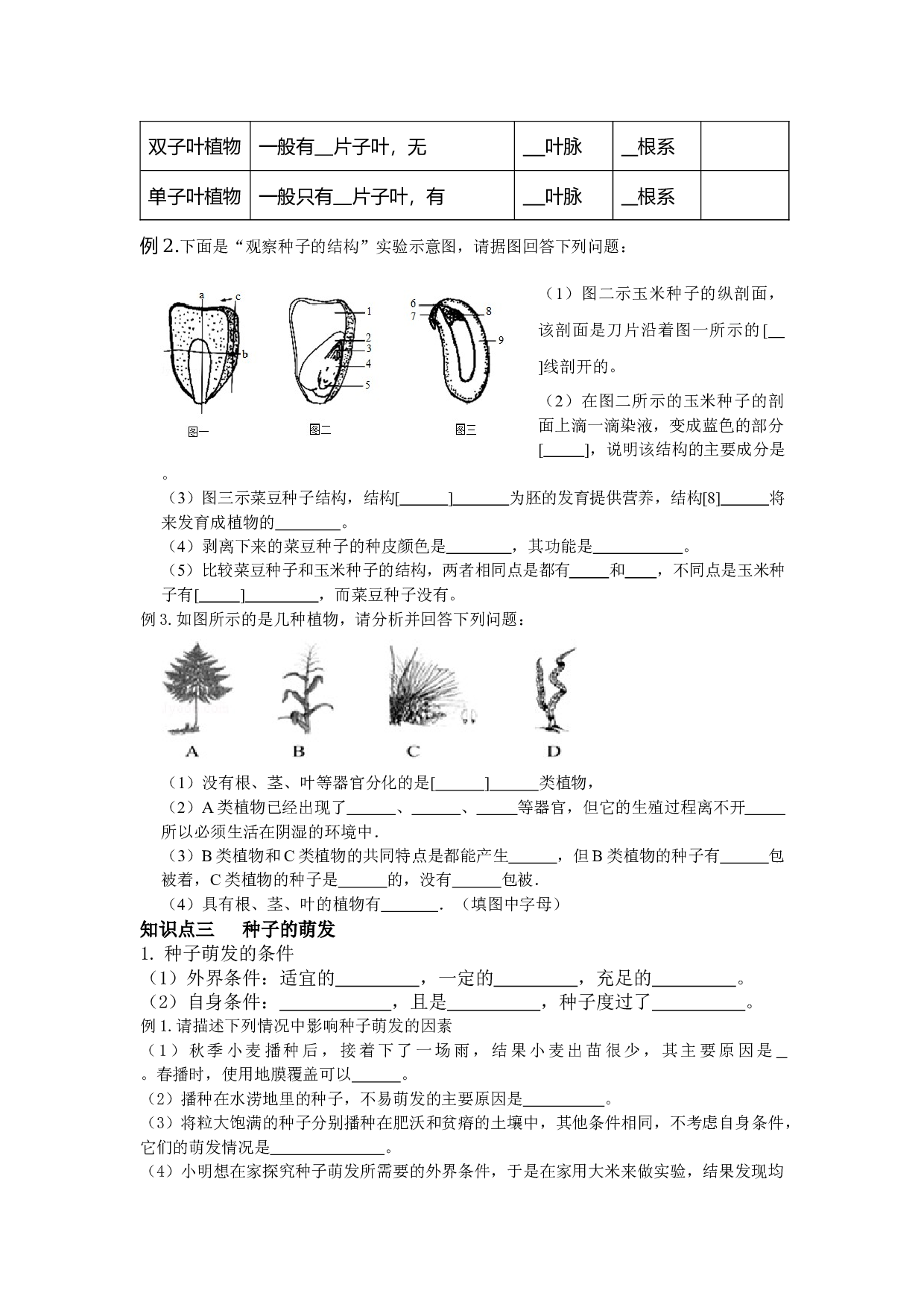 2024年生物中考一轮复习专项训练：第四讲 生物圈中的绿色植物.docx 第2页