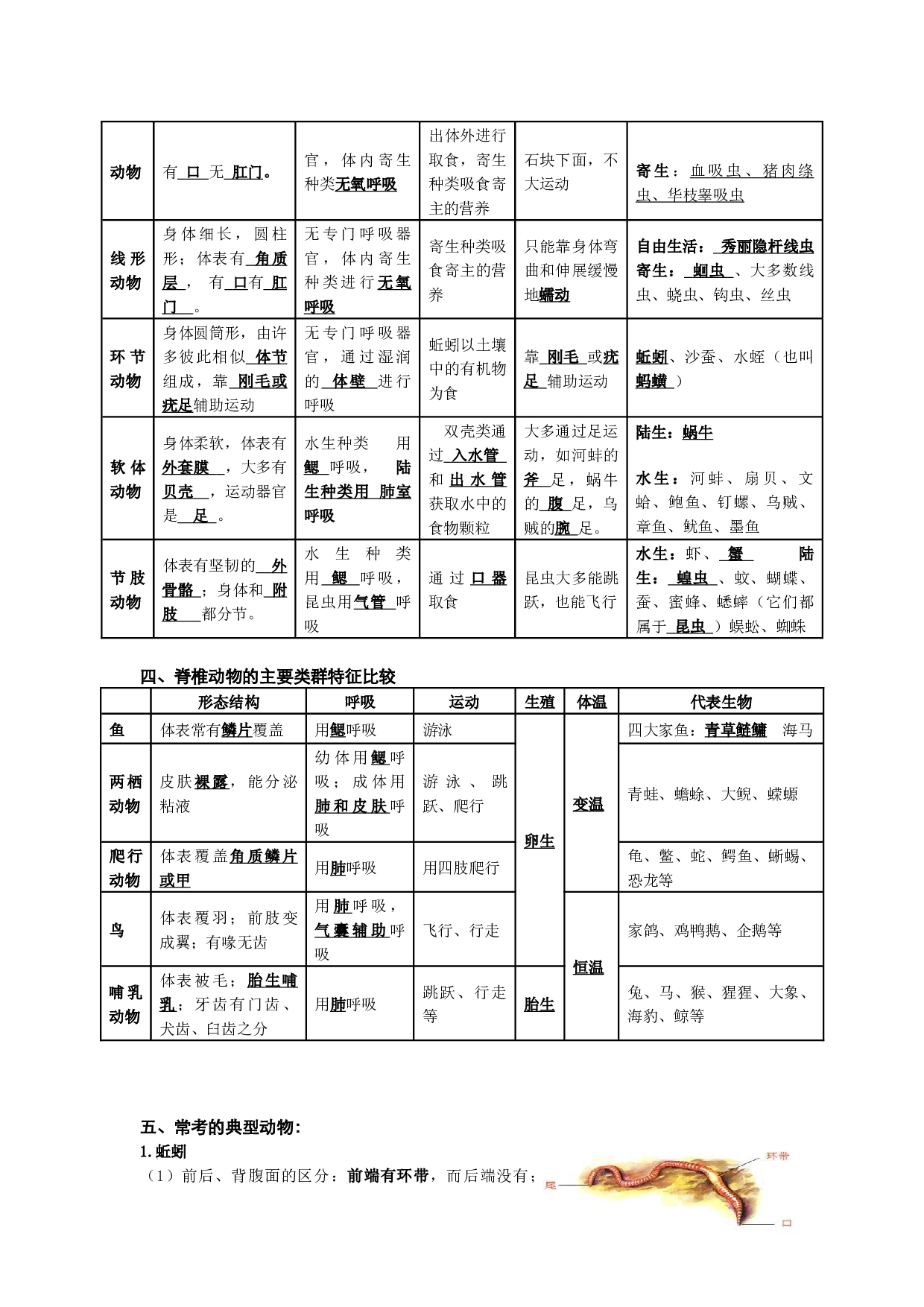 第一章 动物的主要类群（知识清单）-2023-2024学年八年级生物上学期期中考点大串讲（人教版）.docx 第2页