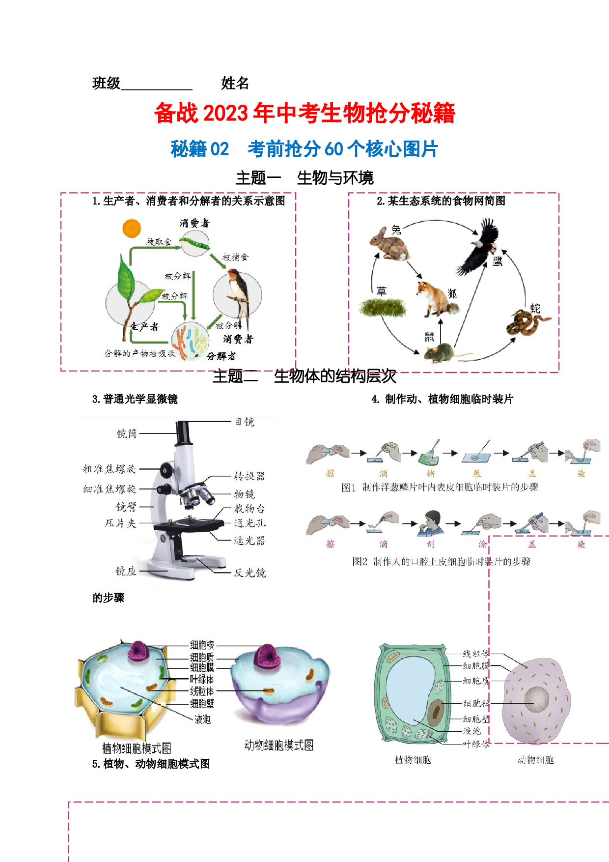 秘籍02 考前抢分60个核心图片-备战2023年中考生物抢分秘籍（全国通用）.docx 第1页