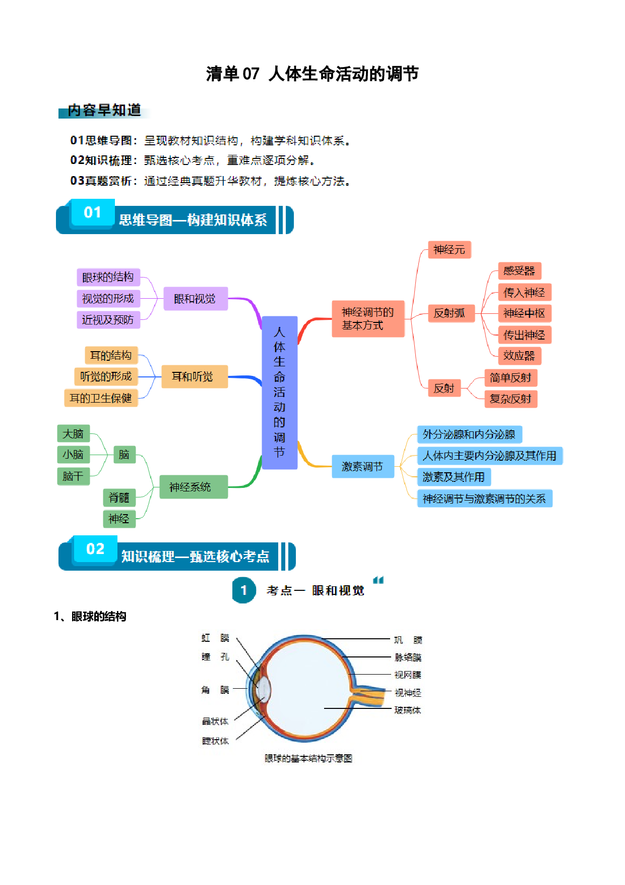 清单07 人体生命活动的调节（5大考点+6大高频命题点）-2024年中考生物一轮复习知识清单.docx 第1页