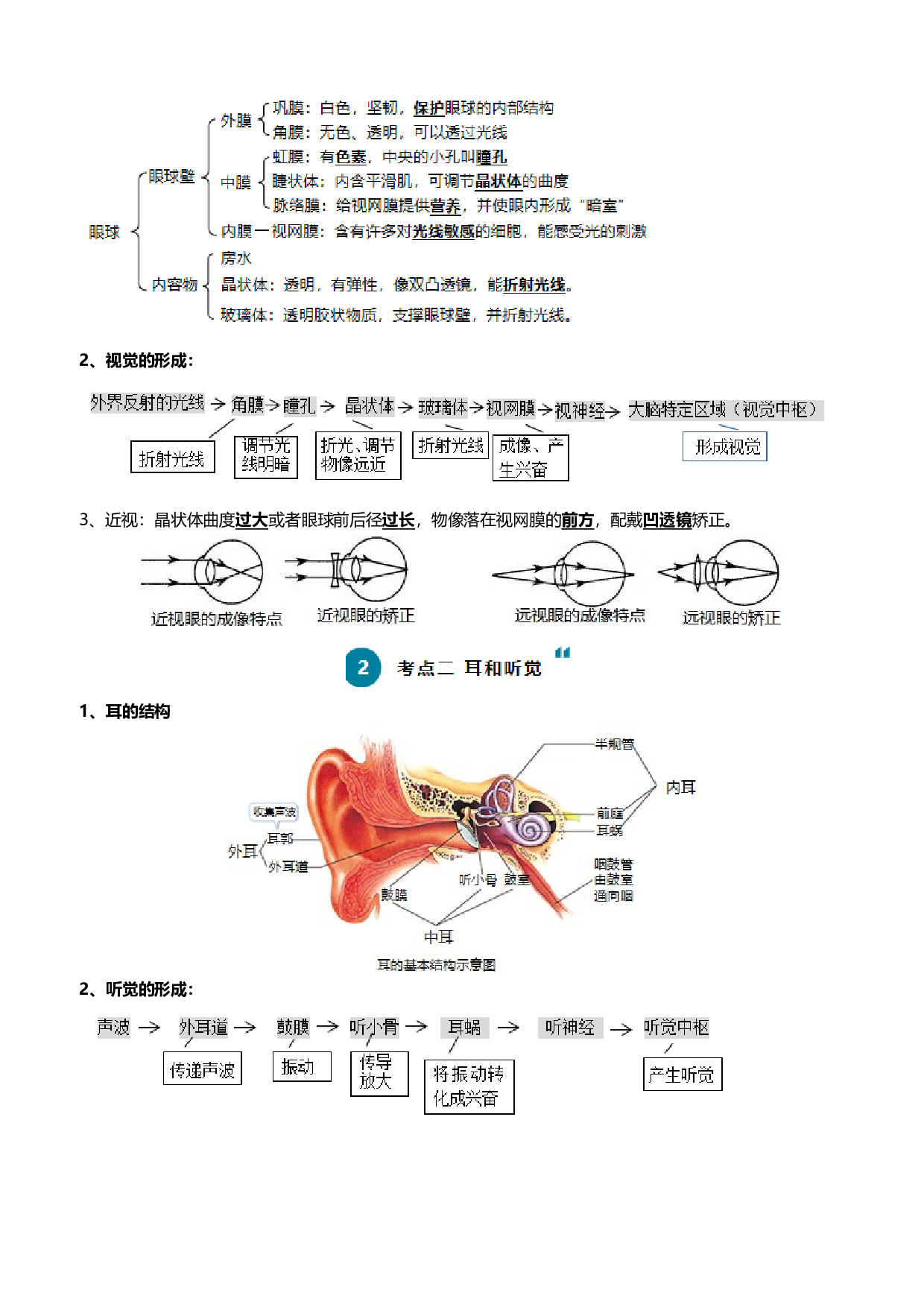 清单07 人体生命活动的调节（5大考点+6大高频命题点）-2024年中考生物一轮复习知识清单.docx 第2页