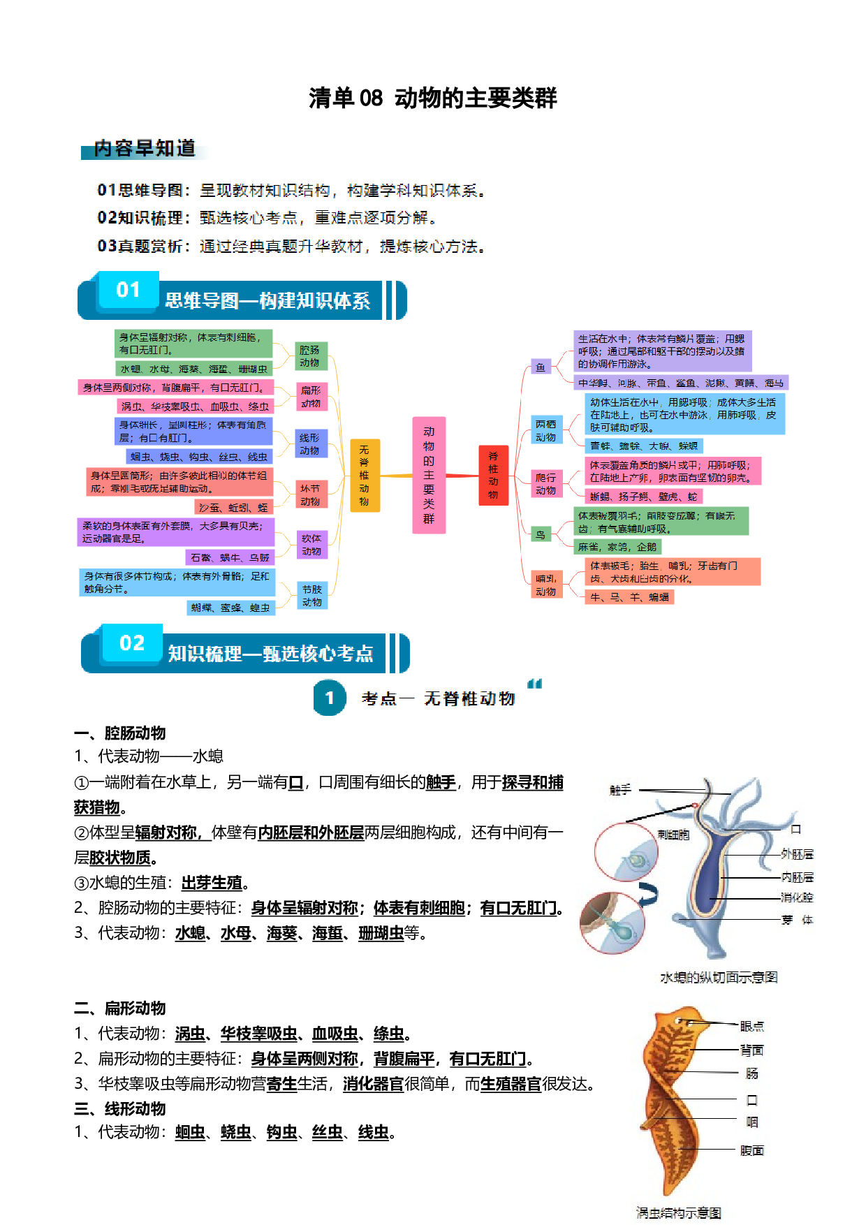 清单08 动物的主要类群（2大考点+3大高频命题点）-2024年中考生物一轮复习知识清单.docx 第1页