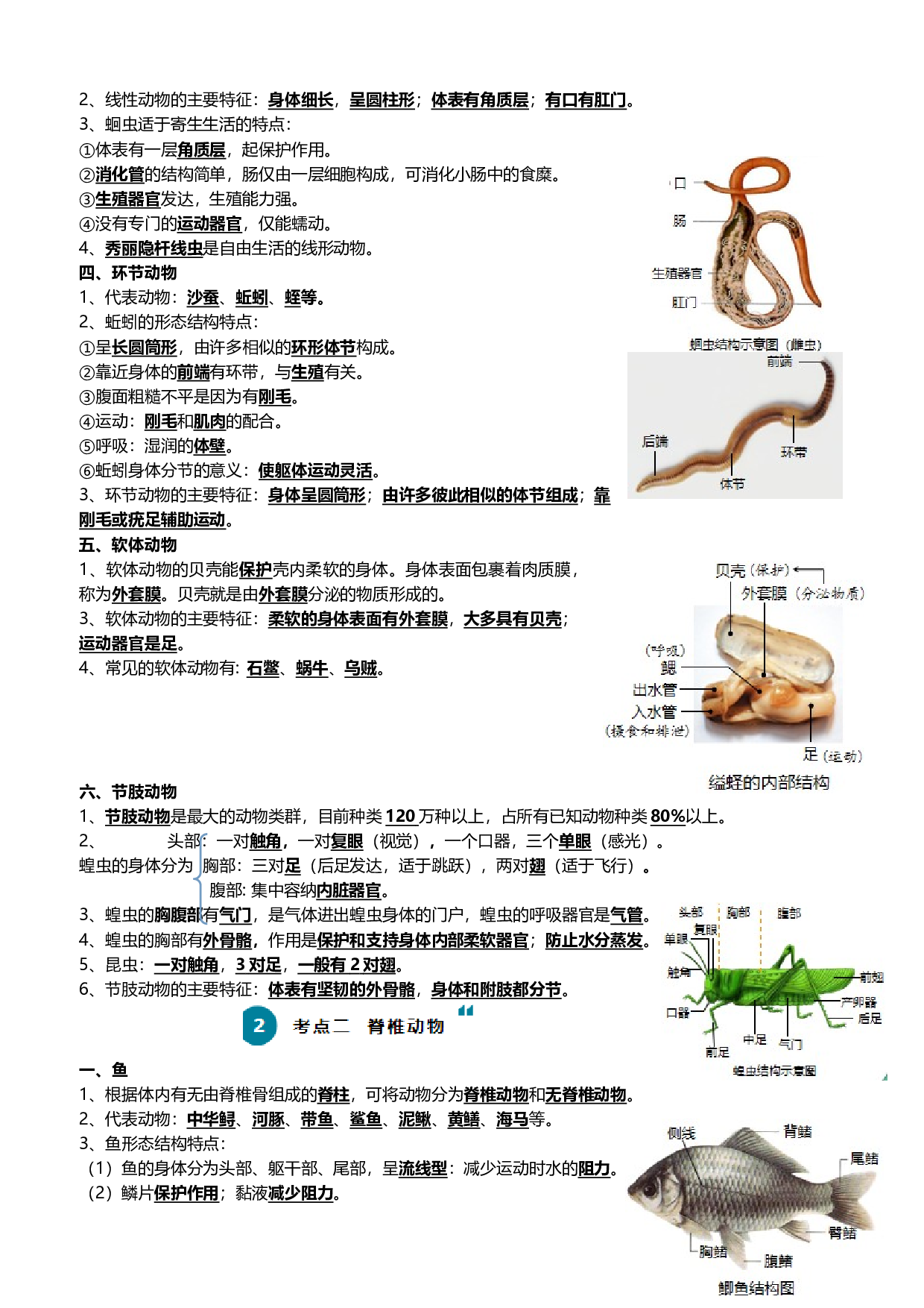 清单08 动物的主要类群（2大考点+3大高频命题点）-2024年中考生物一轮复习知识清单.docx 第2页