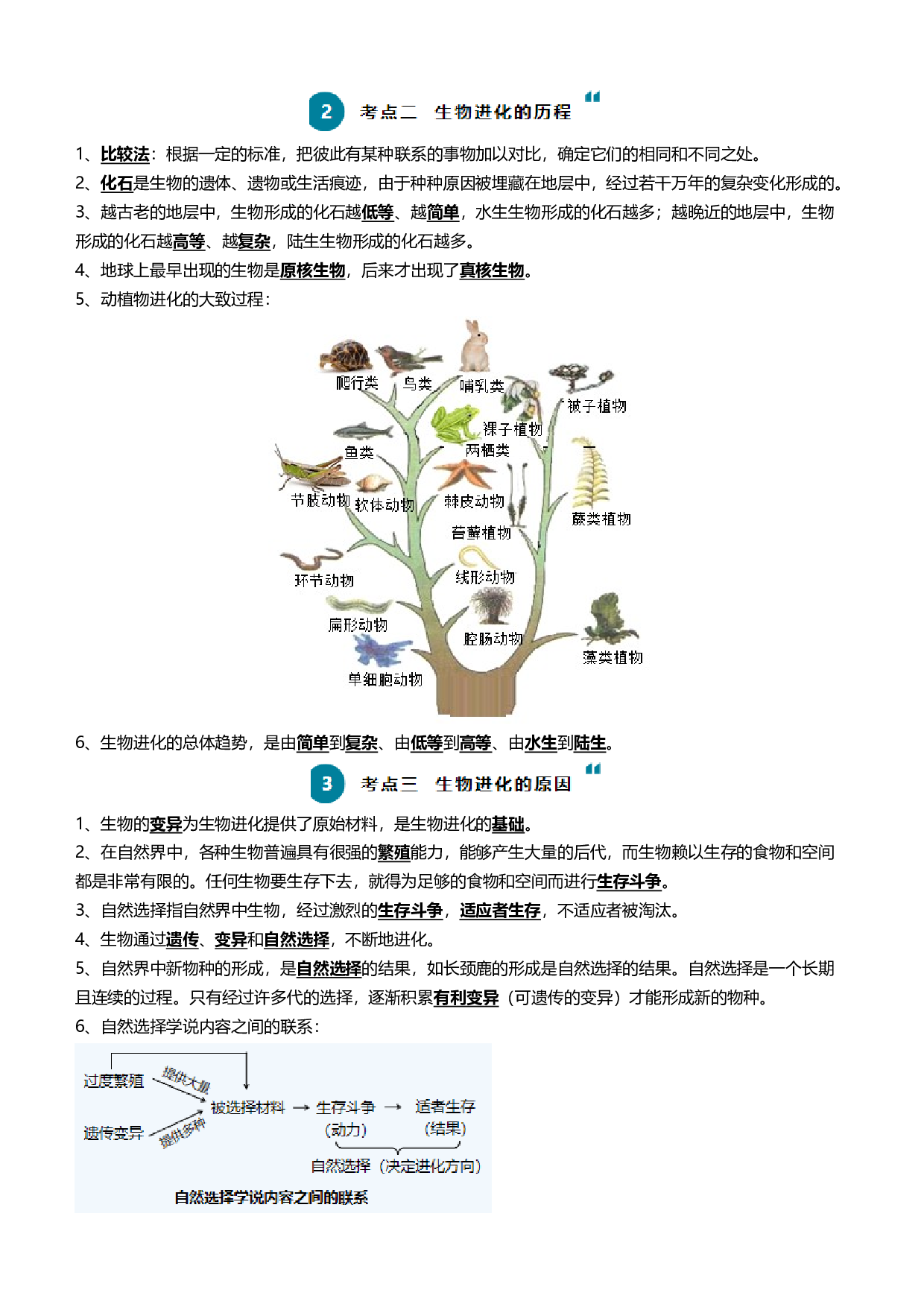 清单14 生命起源和生物进化（3大考点+5大高频命题点）-2024年中考生物一轮复习知识清单.docx 第2页