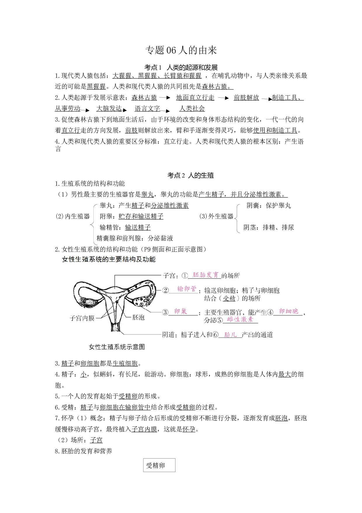 专题06 人的由来（知识帮）-备战2023年中考生物一轮复习考点帮（全国通用）.docx 第1页