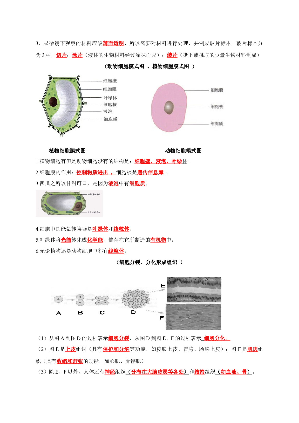 七年级上册识图知识突破-备战2024年中考生物复习重点难点易错点提分法宝.docx 第2页