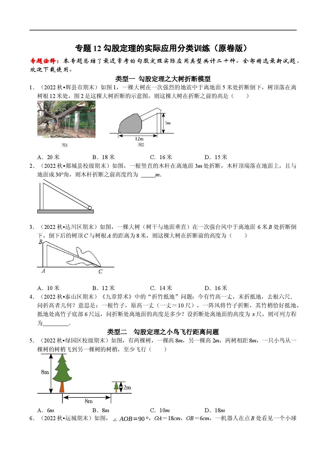 专题12 勾股定理的实际应用分类训练（原卷版）.docx 第1页