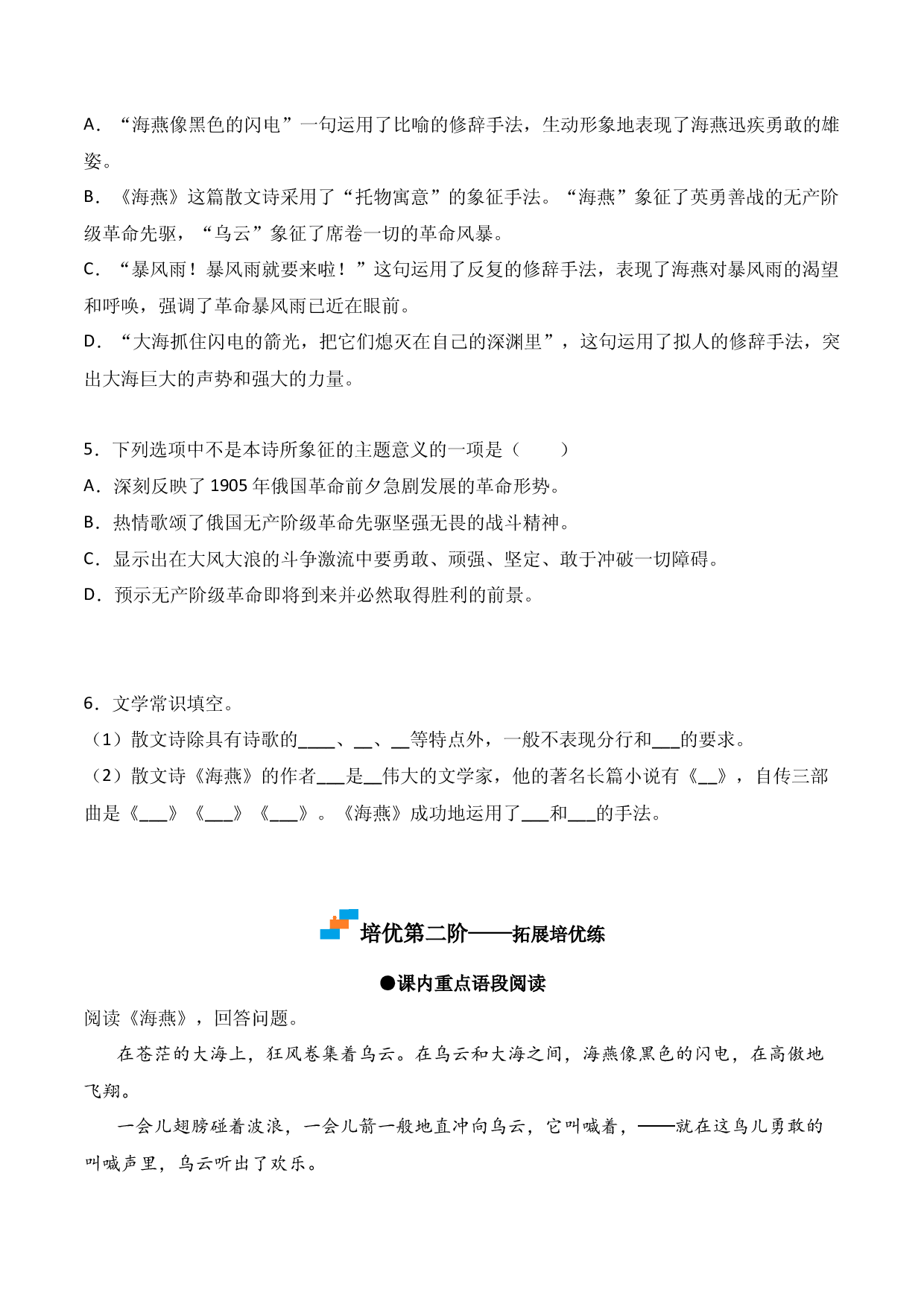 第4课  《海燕》-九年级语文下册课后培优分级练（部编版）（原卷版）.docx 第2页