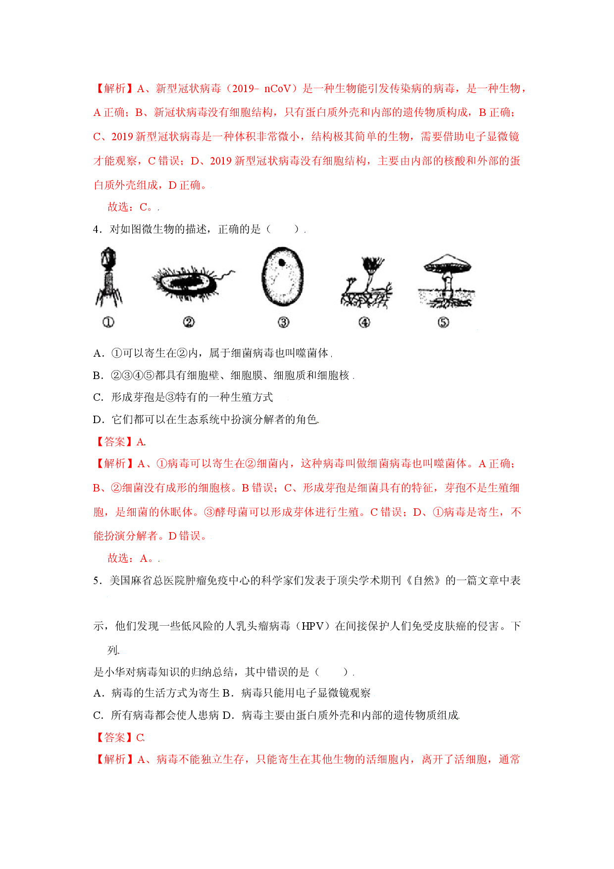 第五章 病毒（过关测试人教版解析版）.doc 第2页