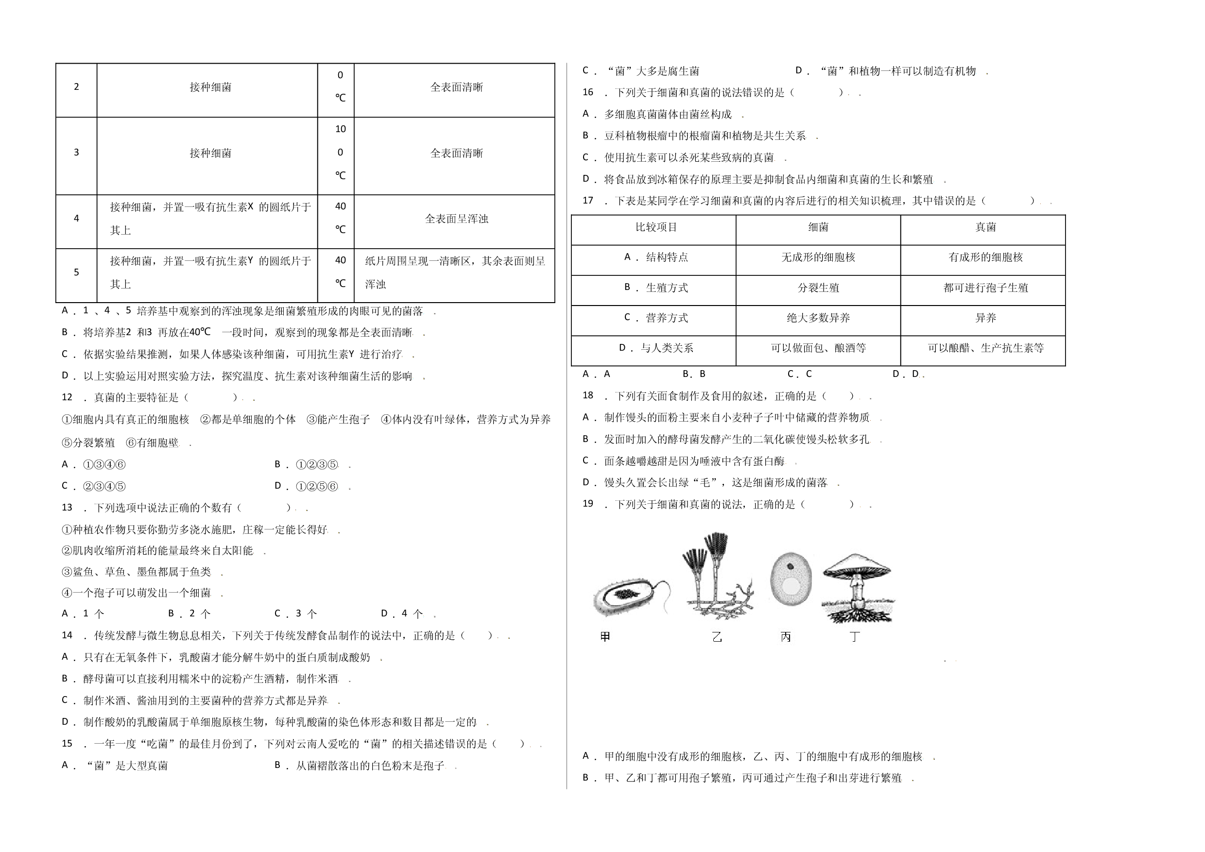 第五单元 （第四章）细菌和真菌（选拔卷）-（人教版）（考试版）.doc 第2页