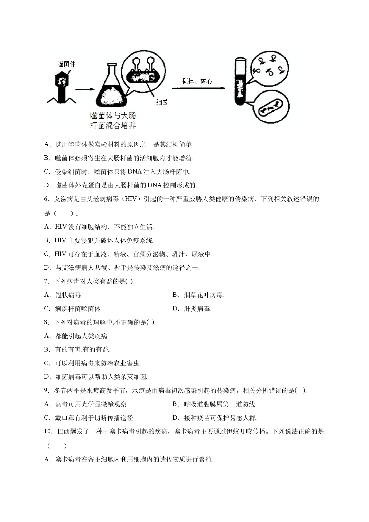 第五单元（第五章） 病毒（提分 人教版原卷版）.docx 第2页