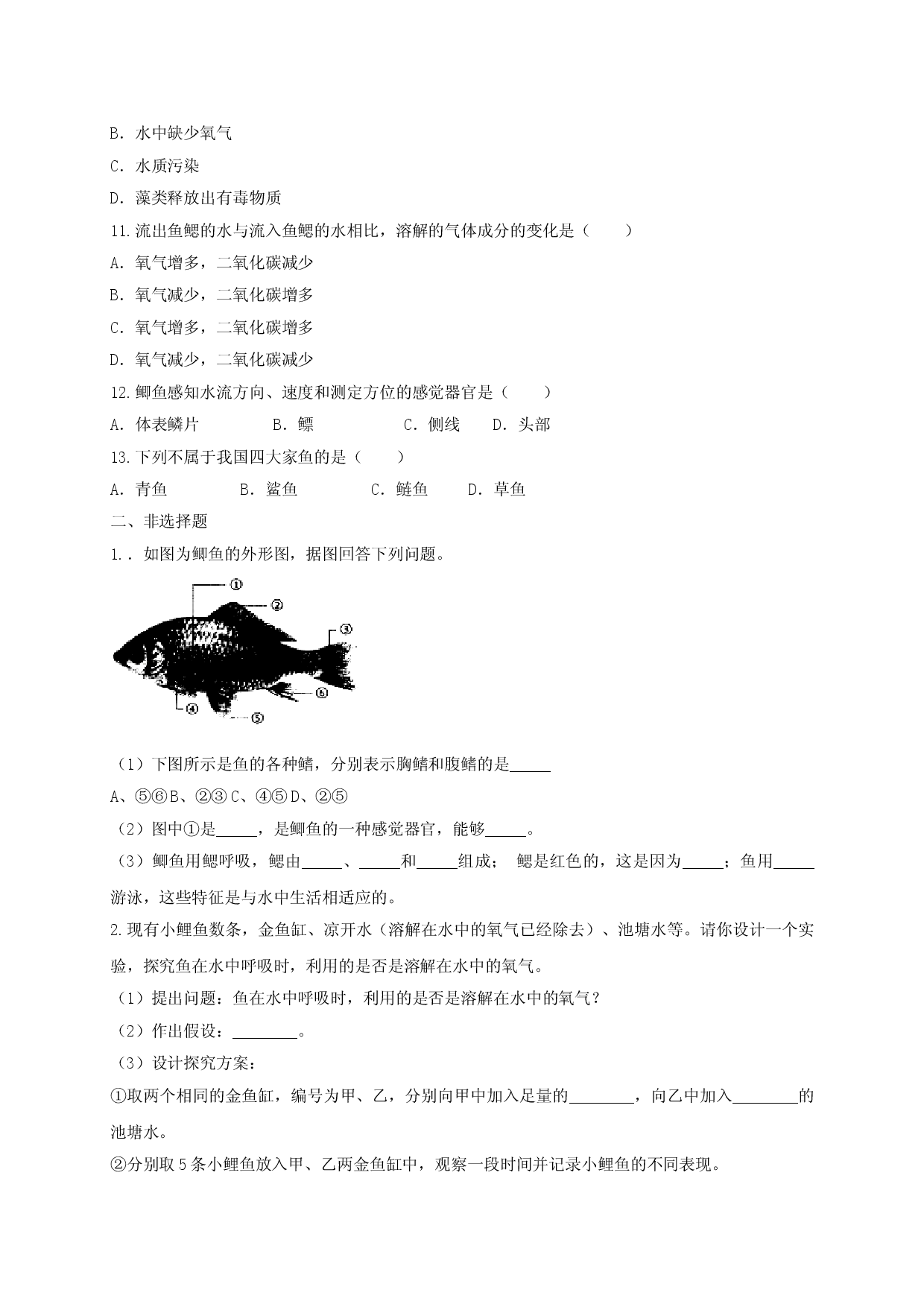 5.1.4 鱼（备作业）-（人教版原卷版）.doc 第2页