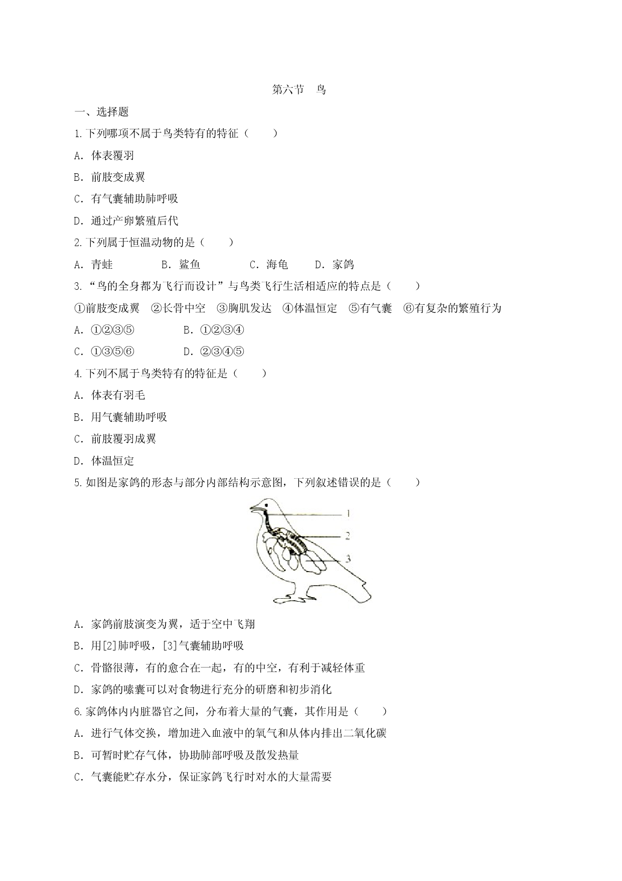 5.1.6 鸟（备作业）-（人教版原卷版）.doc 第1页