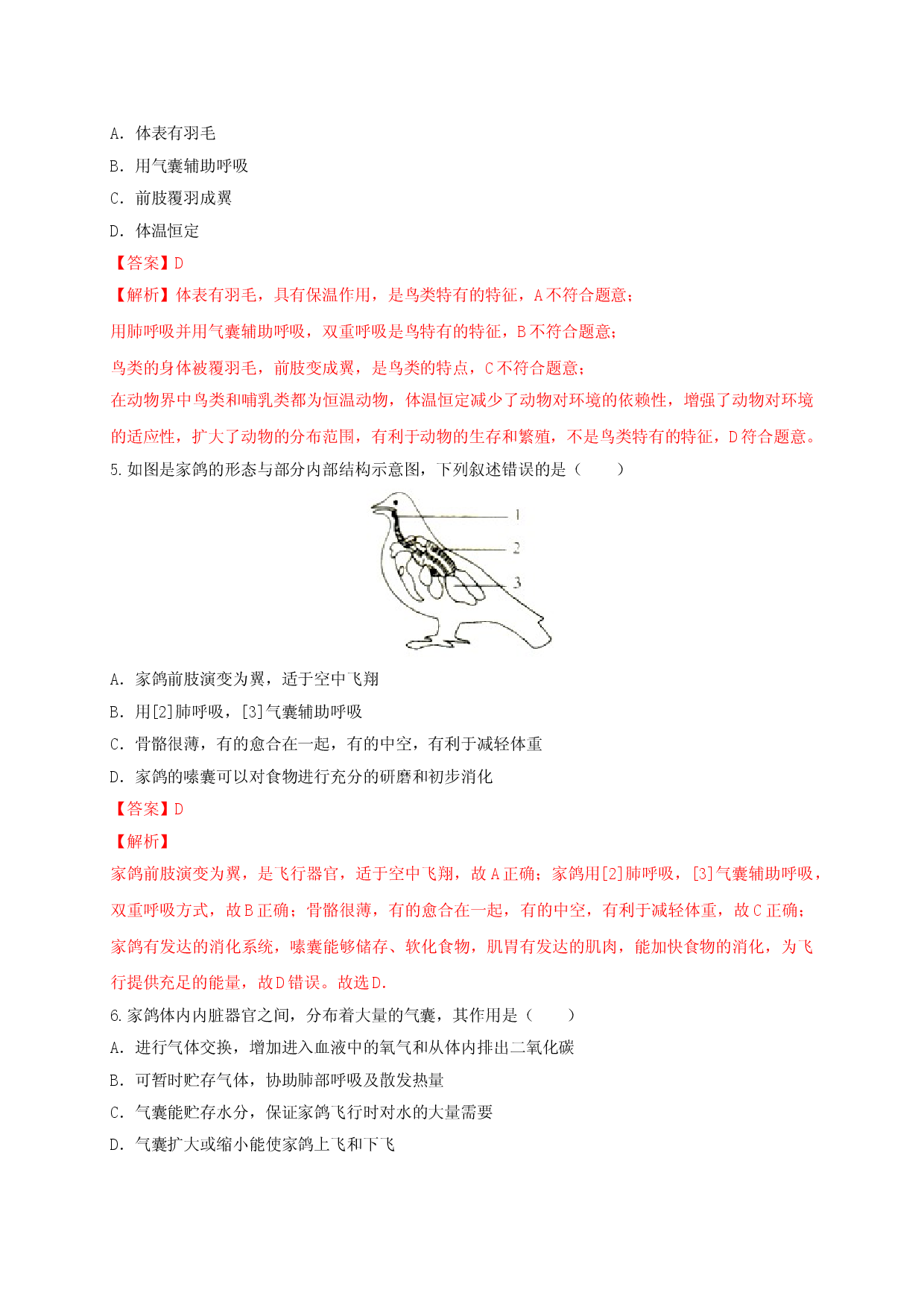 5.1.6 鸟（备作业）-（人教版解析版）.doc 第2页