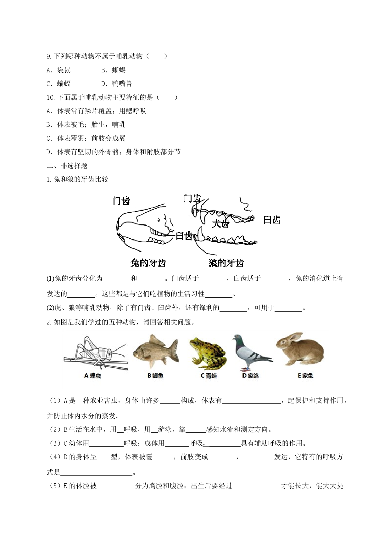 5.1.7 哺乳动物（备作业）-（人教版原卷版）.doc 第2页