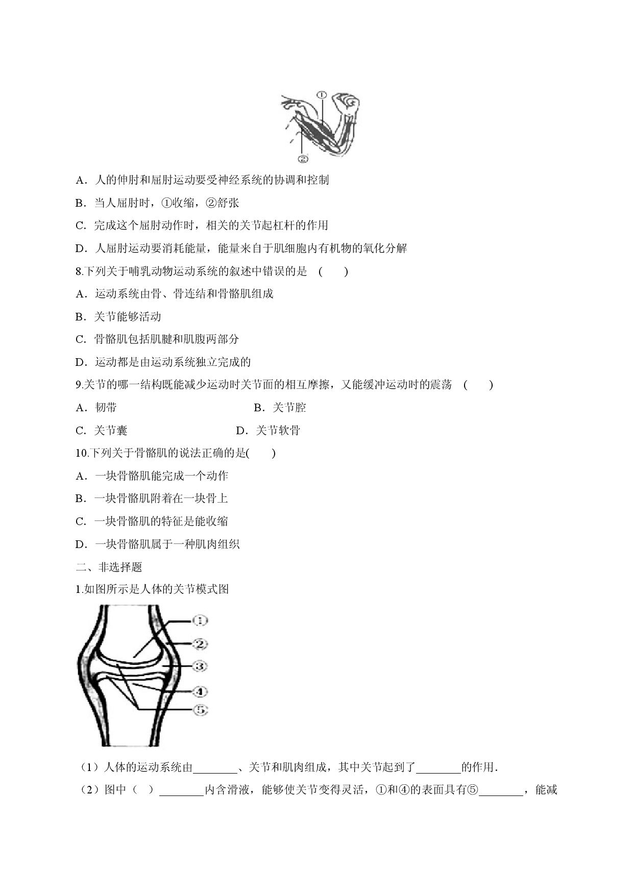 5.2.1 动物的运动（备作业）-（人教版原卷版）.doc 第2页