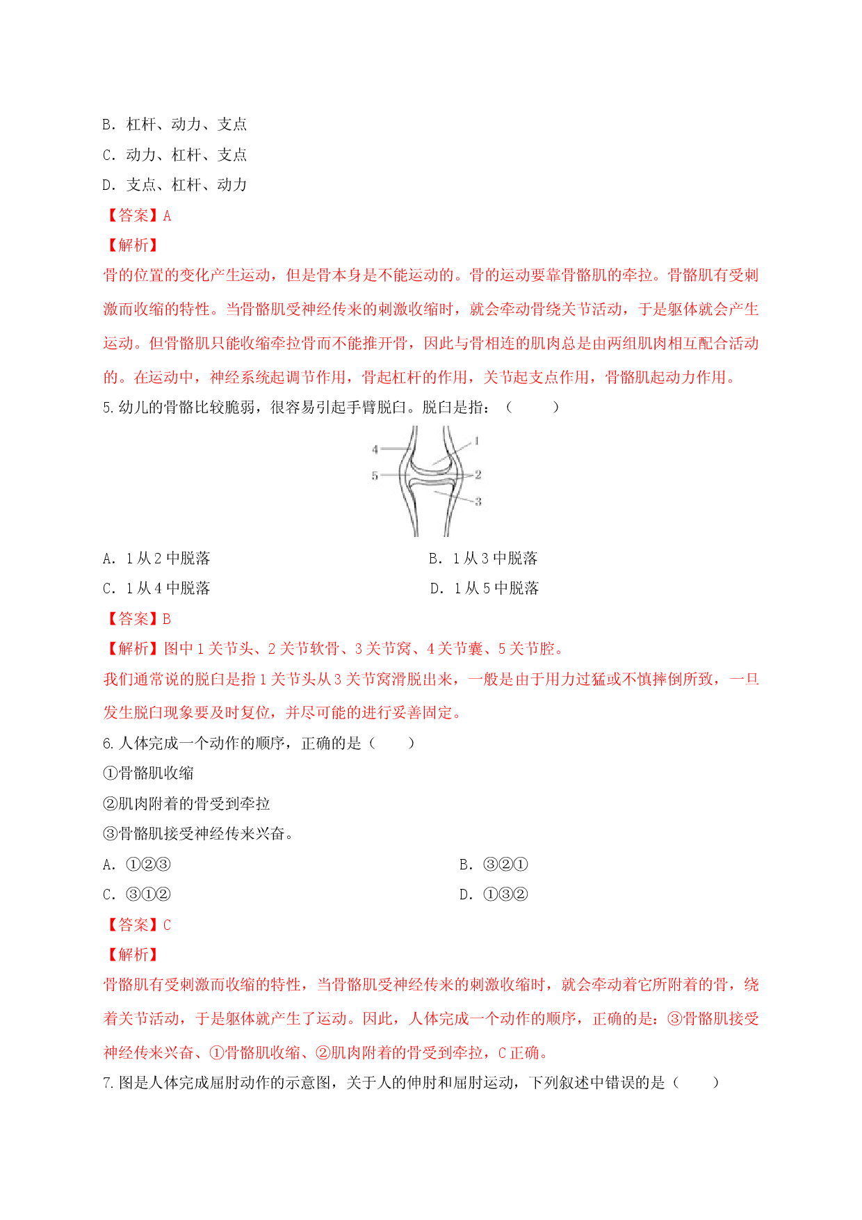 5.2.1 动物的运动（备作业）-（人教版解析版）.doc 第2页