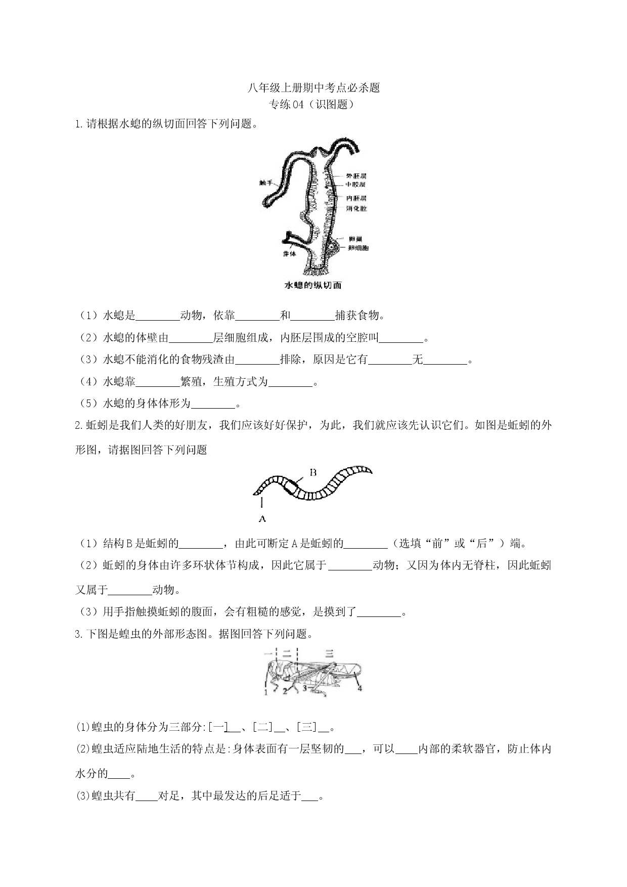 专练04（识图题）-八年级生物上册期中考点必杀题（人教版原卷版）.doc 第1页