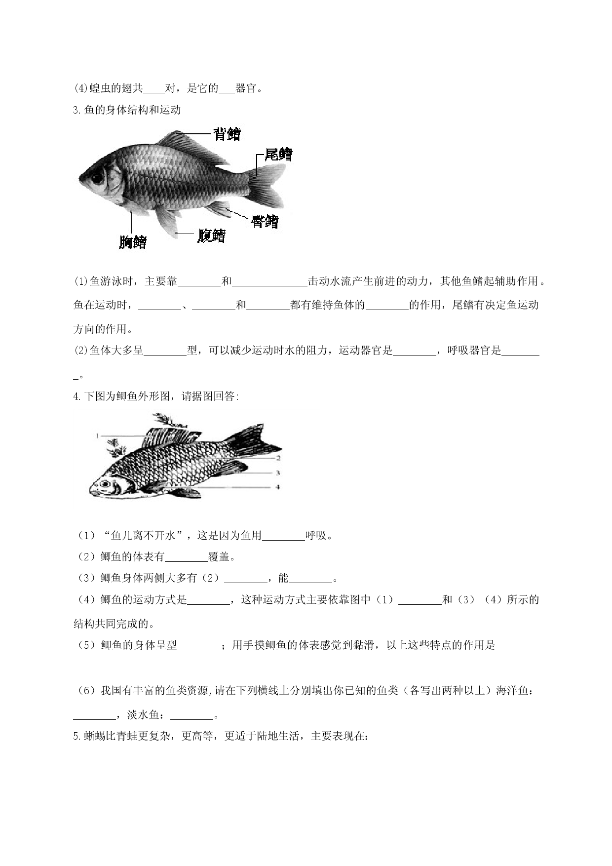 专练04（识图题）-八年级生物上册期中考点必杀题（人教版原卷版）.doc 第2页