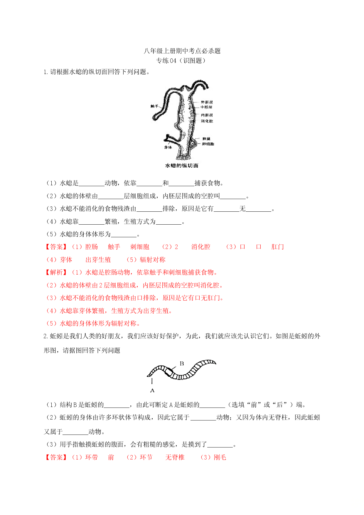 专练04（识图题）-八年级生物上册期中考点必杀题（人教版解析版）.doc 第1页
