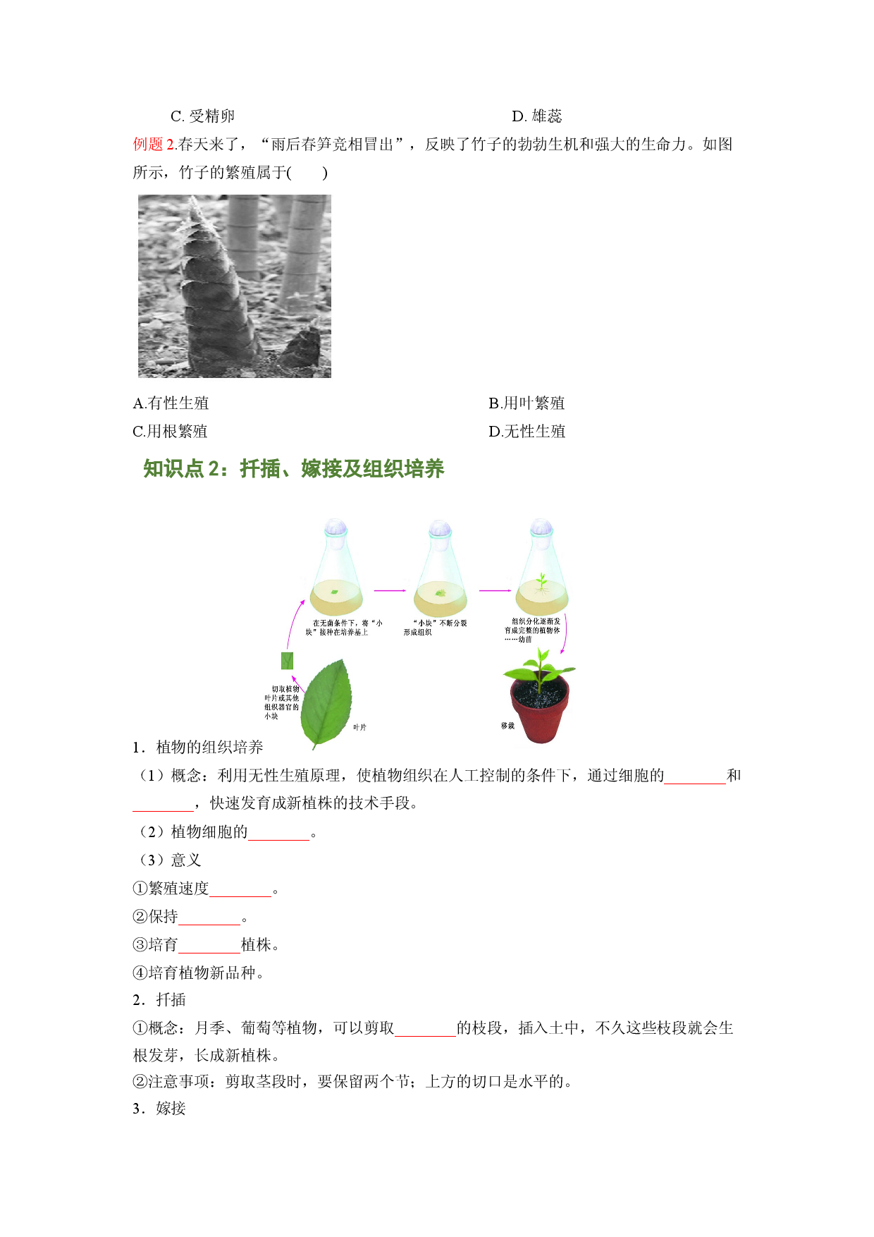 专题01 植物的生殖（原卷版）-2021-2022学年八年级上学期期末复习之重难点突破（人教版）.doc 第2页