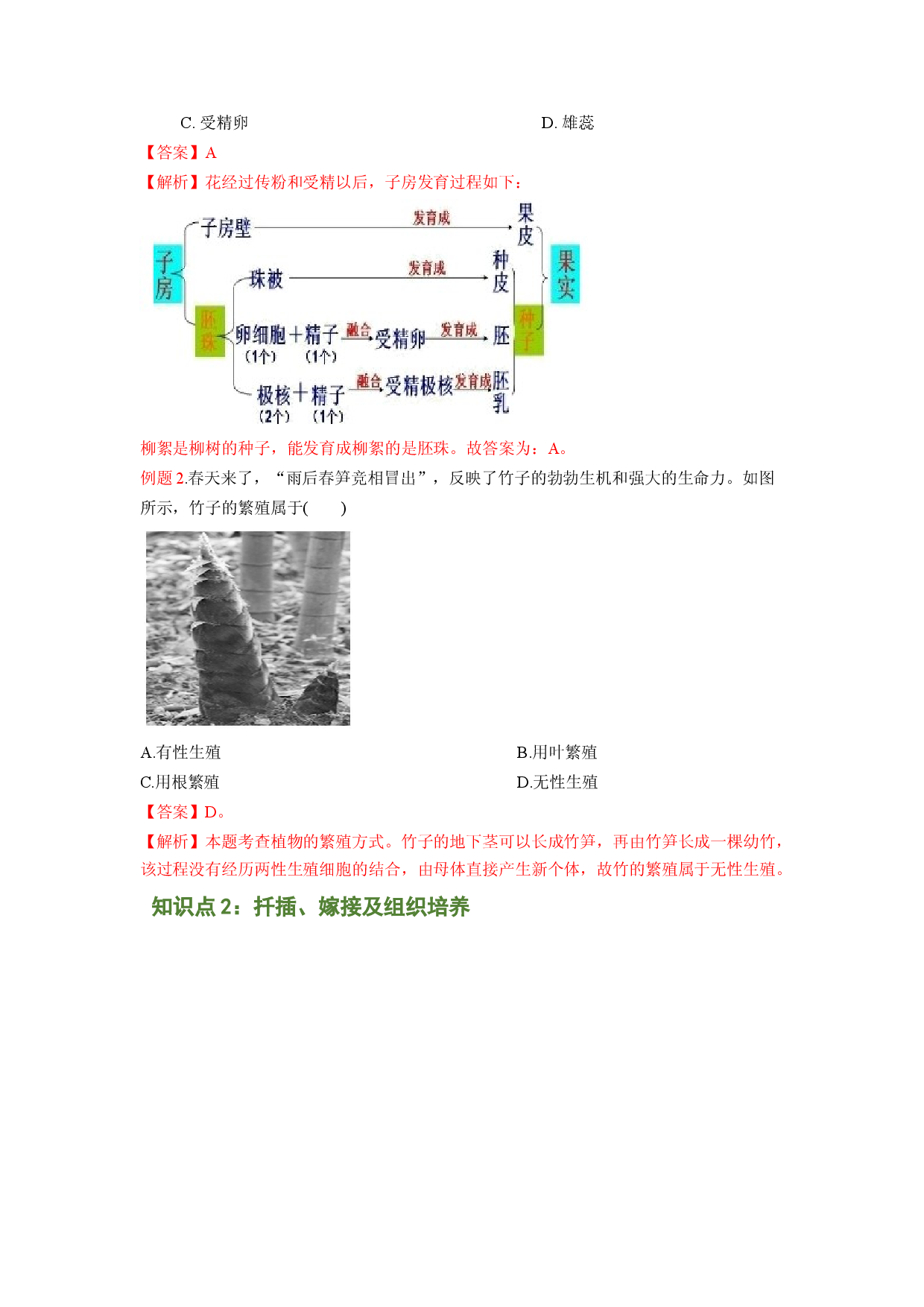 专题01 植物的生殖（解析版）-2021-2022学年八年级上学期期末复习之重难点突破（人教版）.doc 第2页