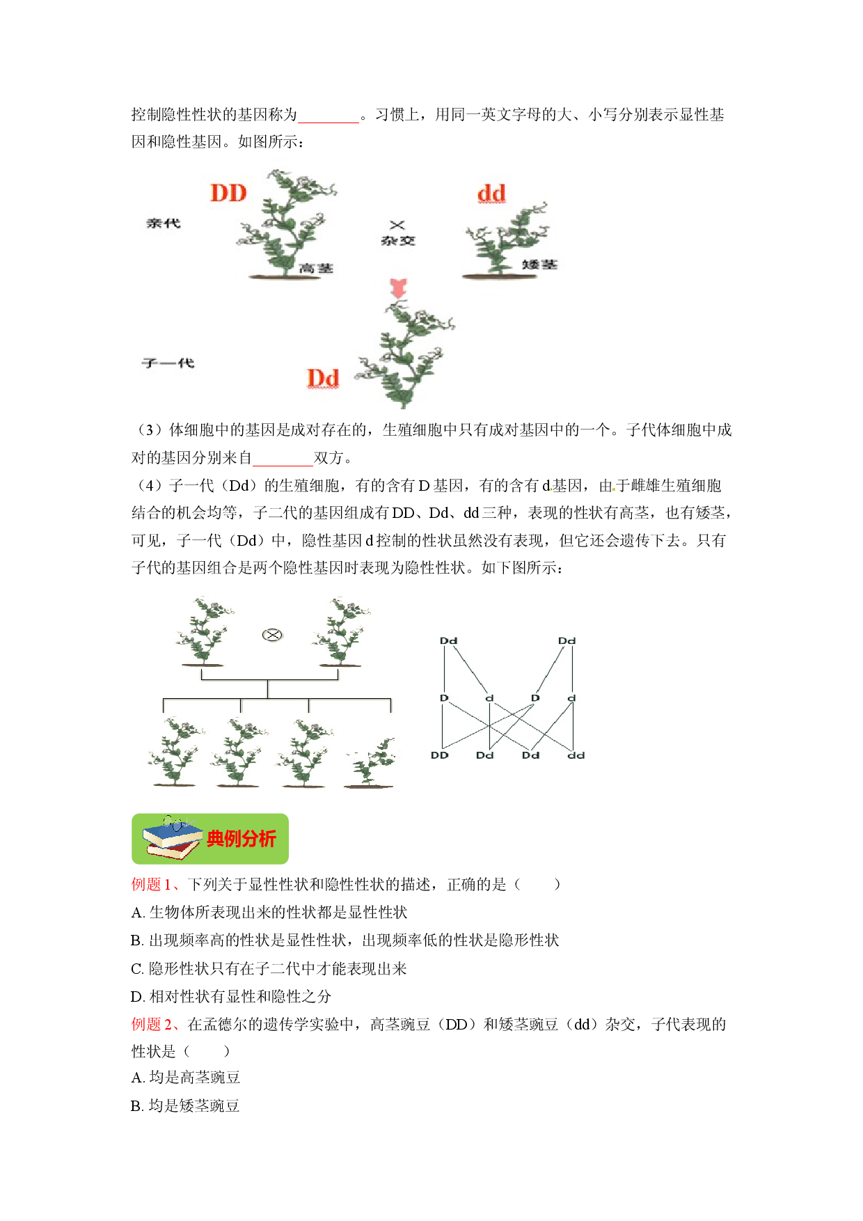 专题05 基因的显性与隐性（原卷版）-2021-2022学年八年级上学期期末复习之重难点突破（人教版）.doc 第2页