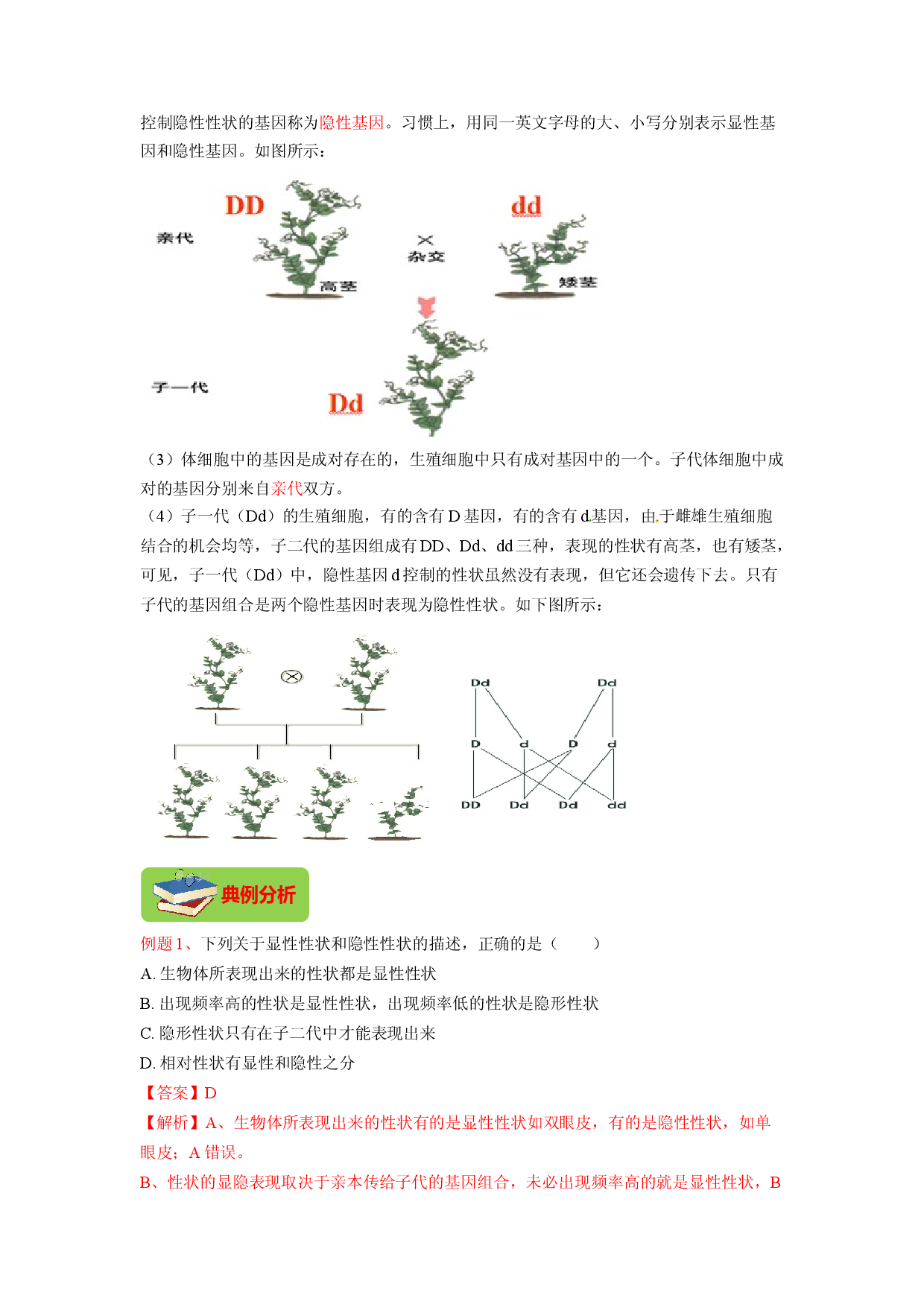 专题05 基因的显性与隐性（解析版）-2021-2022学年八年级上学期期末复习之重难点突破（人教版）.doc 第2页