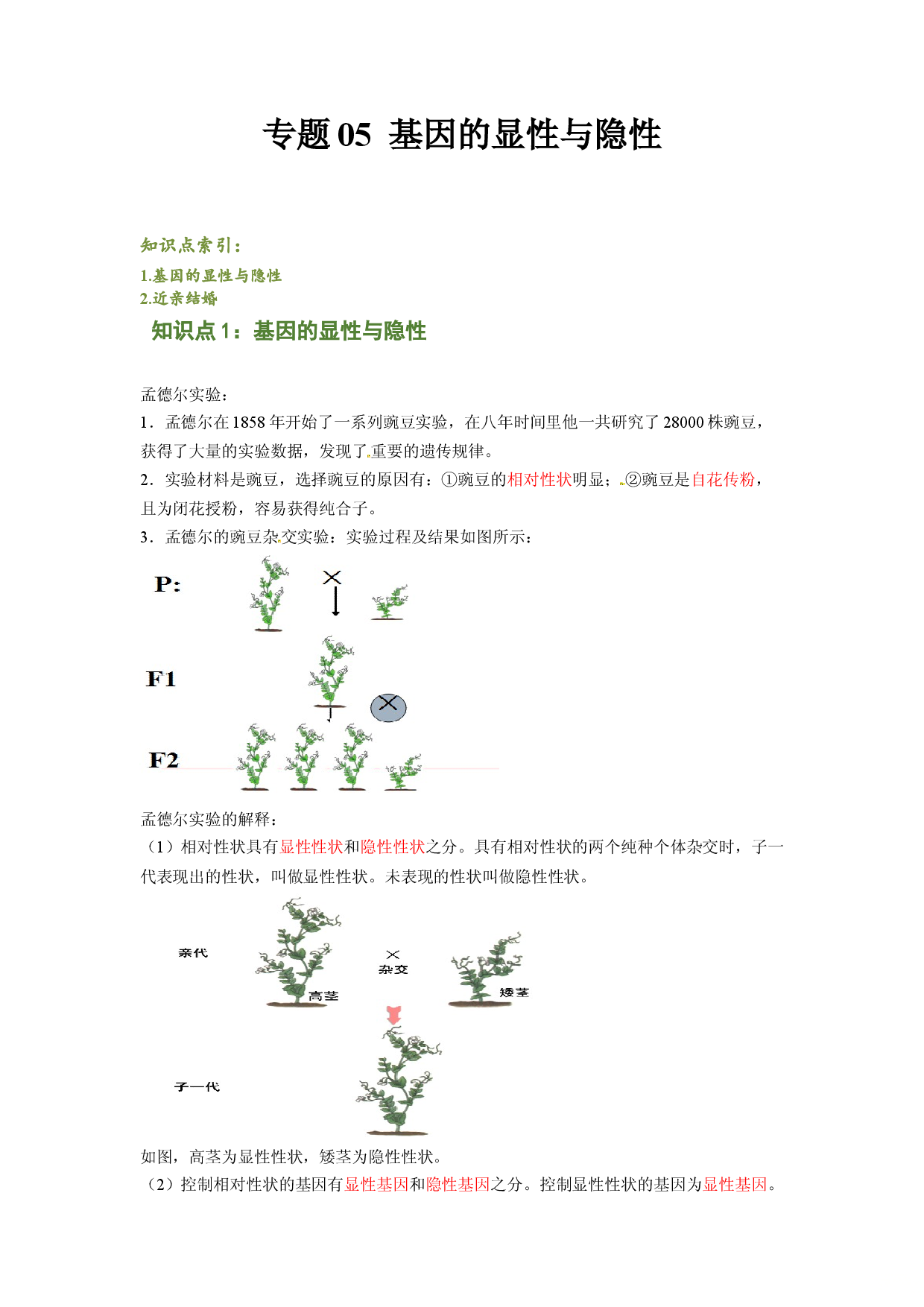 专题05 基因的显性与隐性（解析版）-2021-2022学年八年级上学期期末复习之重难点突破（人教版）.doc 第1页